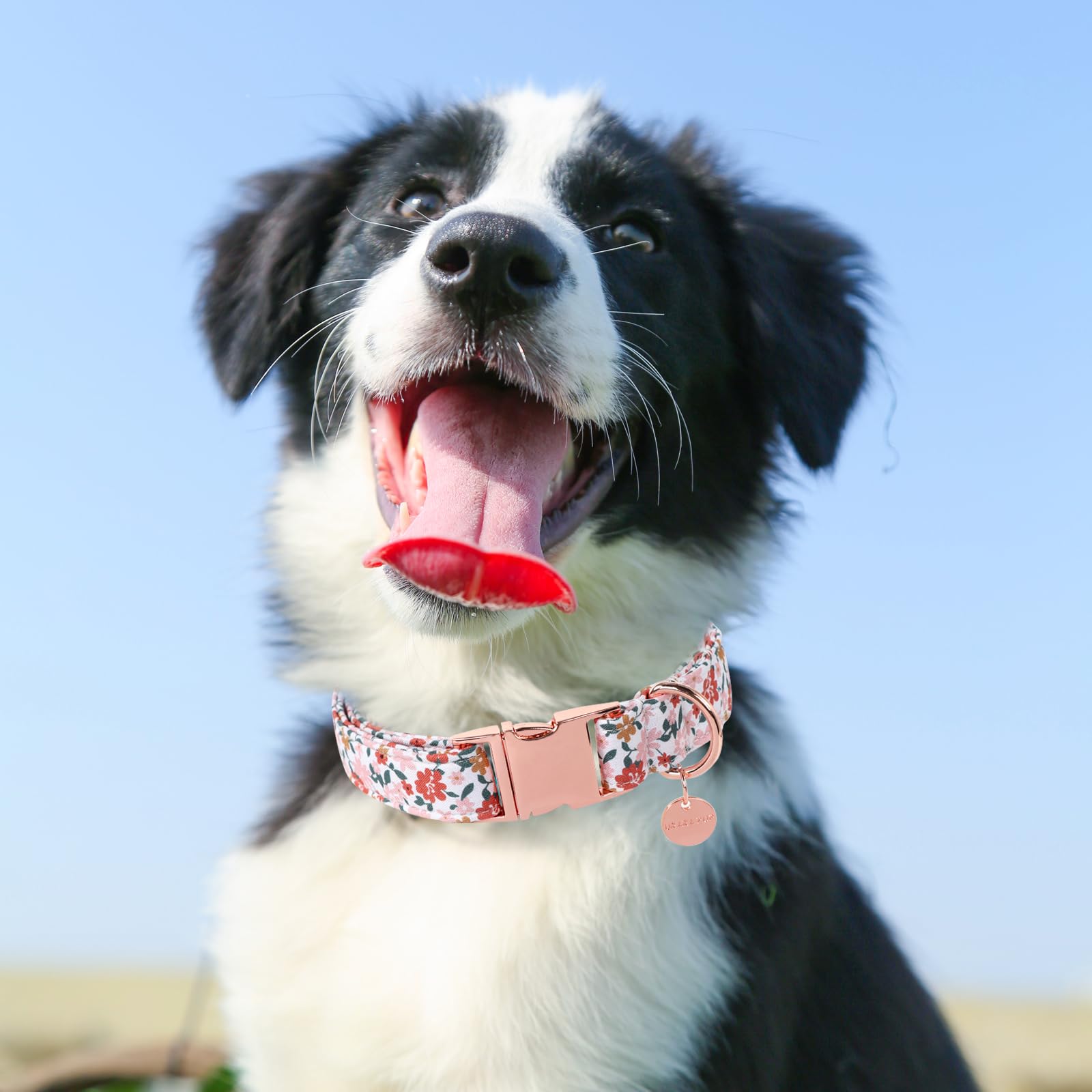 Up Urara Pup Dog Collar For Summer,Little Flower Dog Collar,Cotton Puppy Collar With Adjustable Buckle For Small,Medium,Large Gi
