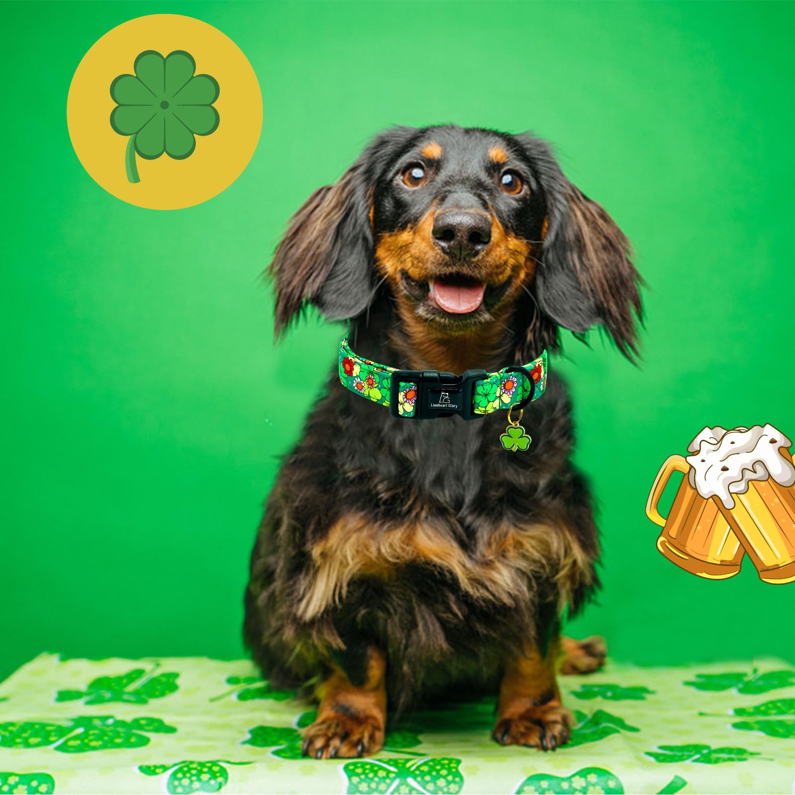 Lionheart Glory St. Patrick Dog Collar-Lucky Clover Shamrock Green Collars For Small Dogs Spring Trefoil Dog Collar Adjustable H