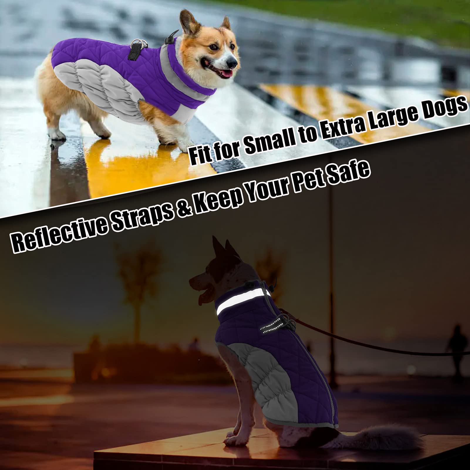 AOFITEE Winter Dog Coat, Warm Fleece Jacket for Cold Weather, Reflective, X-Small, Purple, Model 1207-AF-12180-Purple-XS