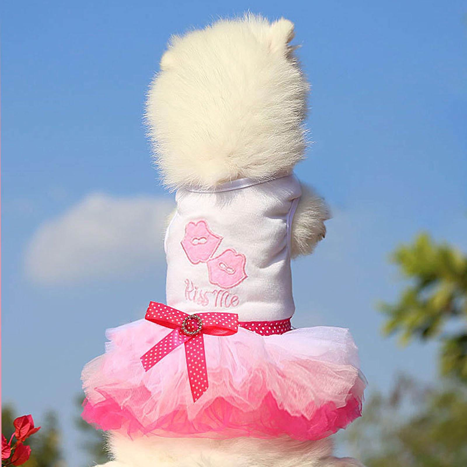 2 Pack Puppy Dresses For Small Dogs Girls Cute Princess Puppy Dresses With Rhinestones Tutu Pet Dress Outfit Female Dog Clothes