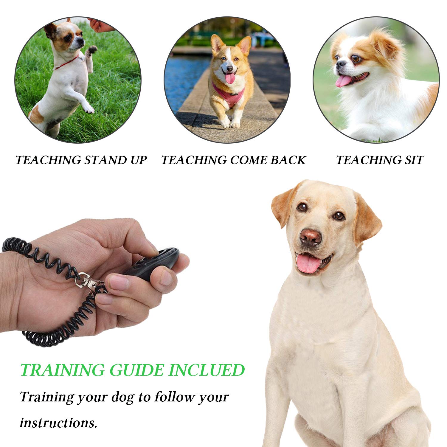 D-BUY 4-in-1 Dog Training Set, Puppy Training Treats- Dog Treat Training Pouch, Bark Control Whistle, Dog Doorbells, Dog Clicker