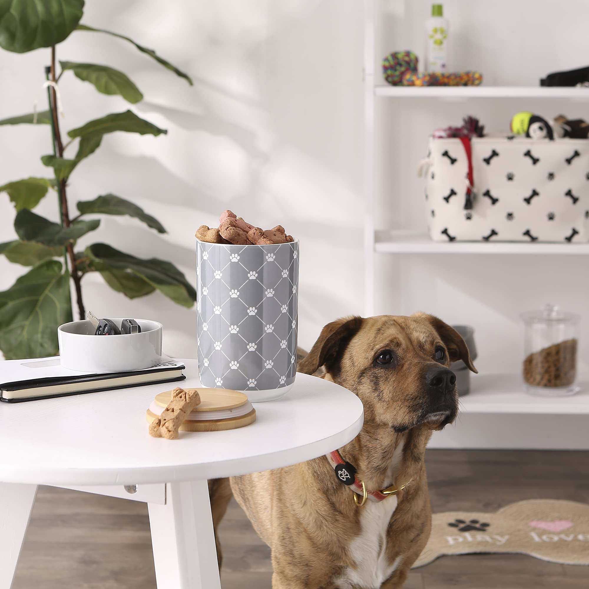 DII Gray Trellis Paw Ceramic Treat Canister