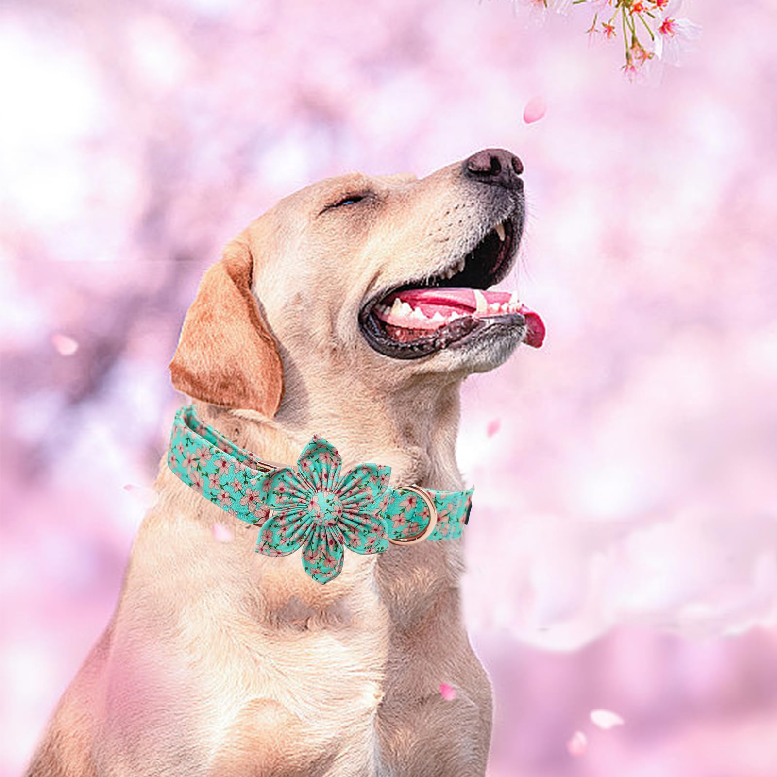 Elegant little tail Dog Collar, Spring Pet Collar with Flower Dog Durable Pink Flower Print Dog Collars Girl Pet Gift Adjustable