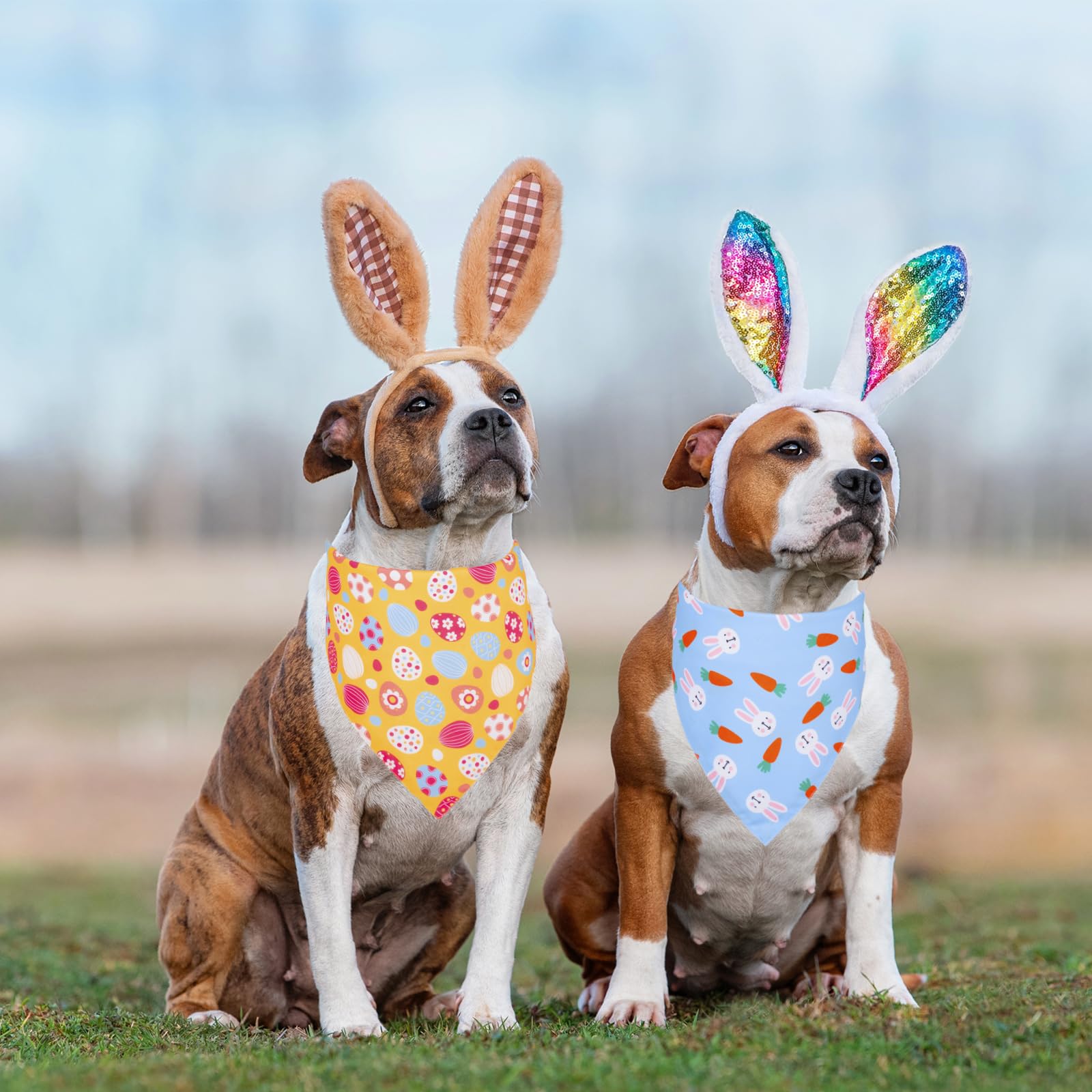 Ptdecor Easter Dog Bandana 2 Pack, Reversible Dog Holiday Festival Scarf, Multi Size, Easter Bandanas For Large And Extra Large