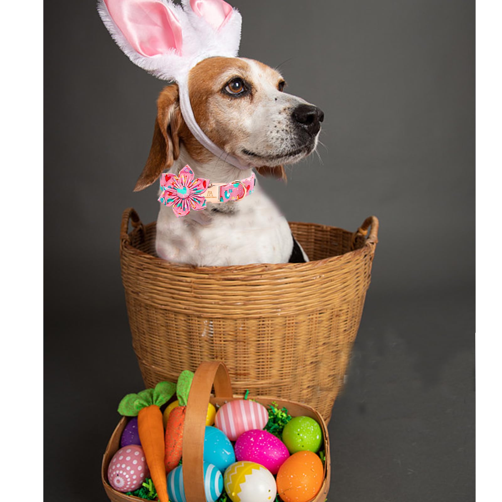 Lionheart Glory Easter Day Dog Collar With Flower Dog Collar For Medium Dogs, Easter Chickens Colorful Dog Flower Collars Spring