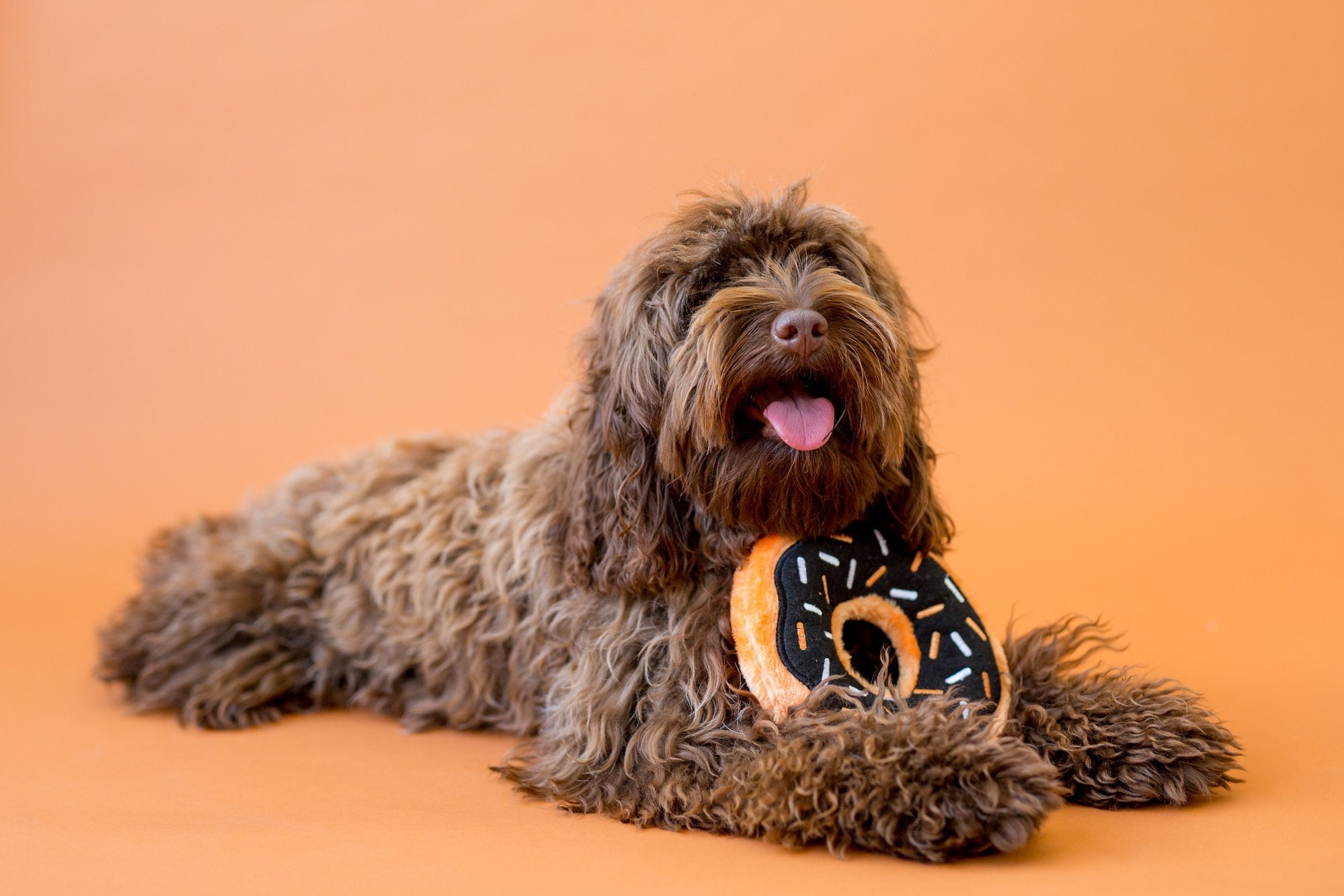ZippyPaws Donutz - No Stuffing Dog Toys to Keep Them Busy, for Small and Medium Dogs, Squeaky Pet Toy for Boredom, Unstuffed Che