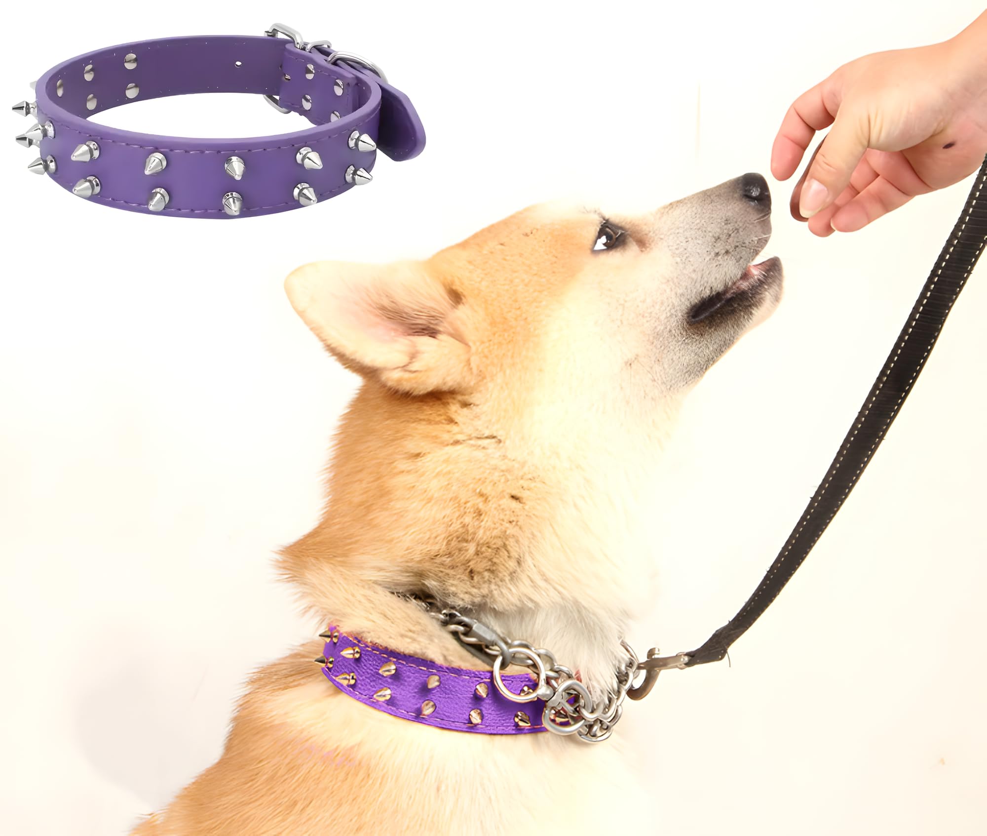 Pawlites Spiked Dog Collar Purple Adjustable Pu Leather Tactical For 52 Cm To 45 Cm Neck Girth Spiked Thorn For Medium And Large