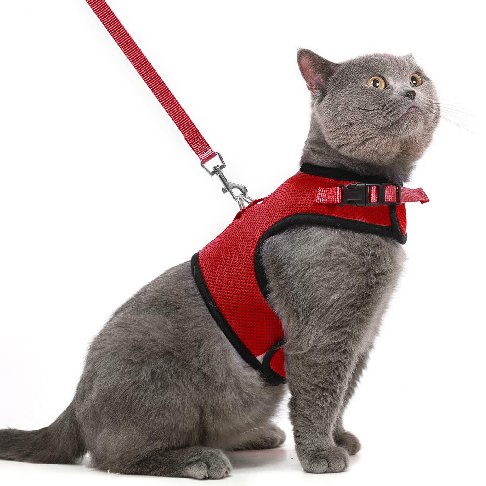 Pupteck Soft Mesh Cat Vest Harness And Leash Set Puppy Padded Pet Harnesses Escape Proof For Cats Small Dogs, Red Large