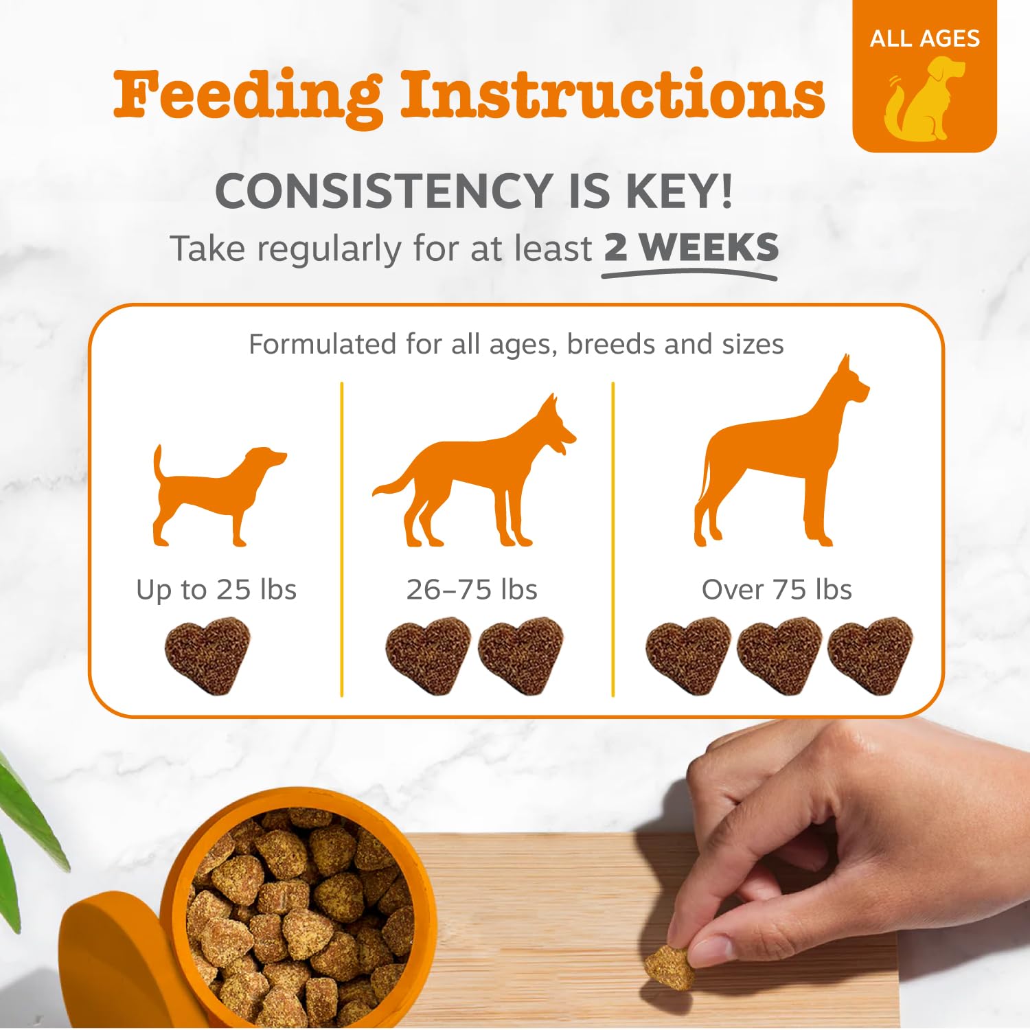 Zesty Paws Probiotics for Dogs, Digestive Enzymes Gut Flora, Digestive Health, Diarrhea & Bowel Support, DE111, Dog Probiotics S
