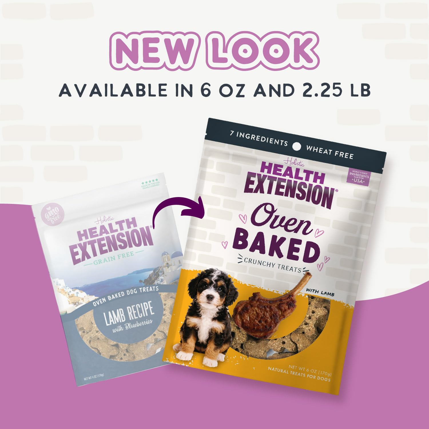 Health Extension Oven-Baked Dog Treats, 2.25lb (1.02kg), Lamb & Blueberry Recipe - Gluten & Grain-Free, Superfood-Infused, Crunc