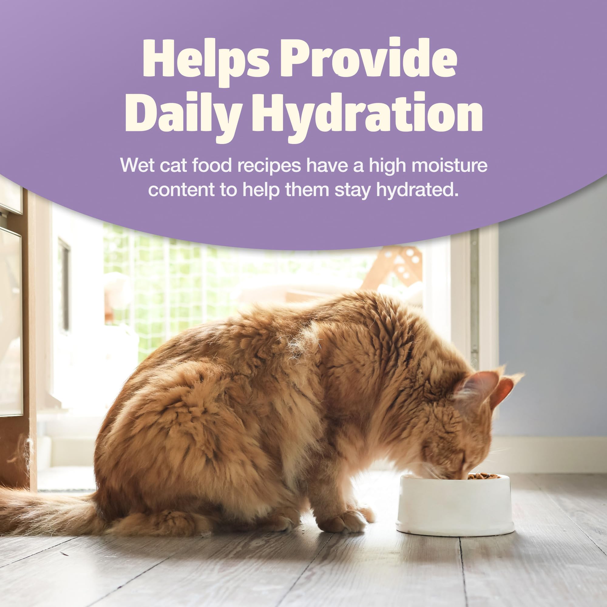 Blue Buffalo Freedom Grain-Free Adult Wet Cat Food, Complete & Balanced Nutrition for Indoor Cats, Made with Natural Ingredients