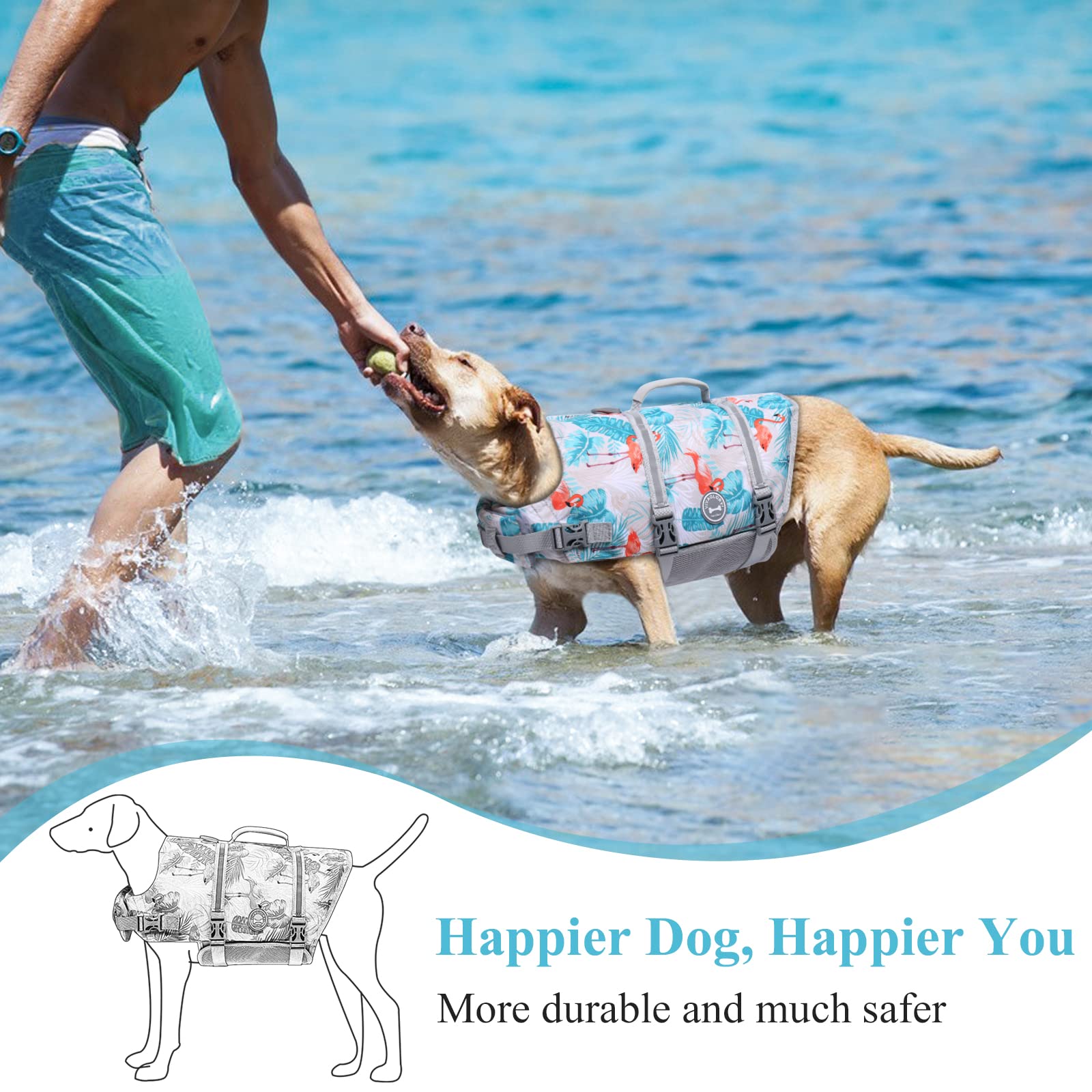 Vivaglory Ripstop Dog Life Jacket For Small Medium Large Dogs Boating, Dog Swimming Vest With Enhanced Buoyancy & Visibility, Le