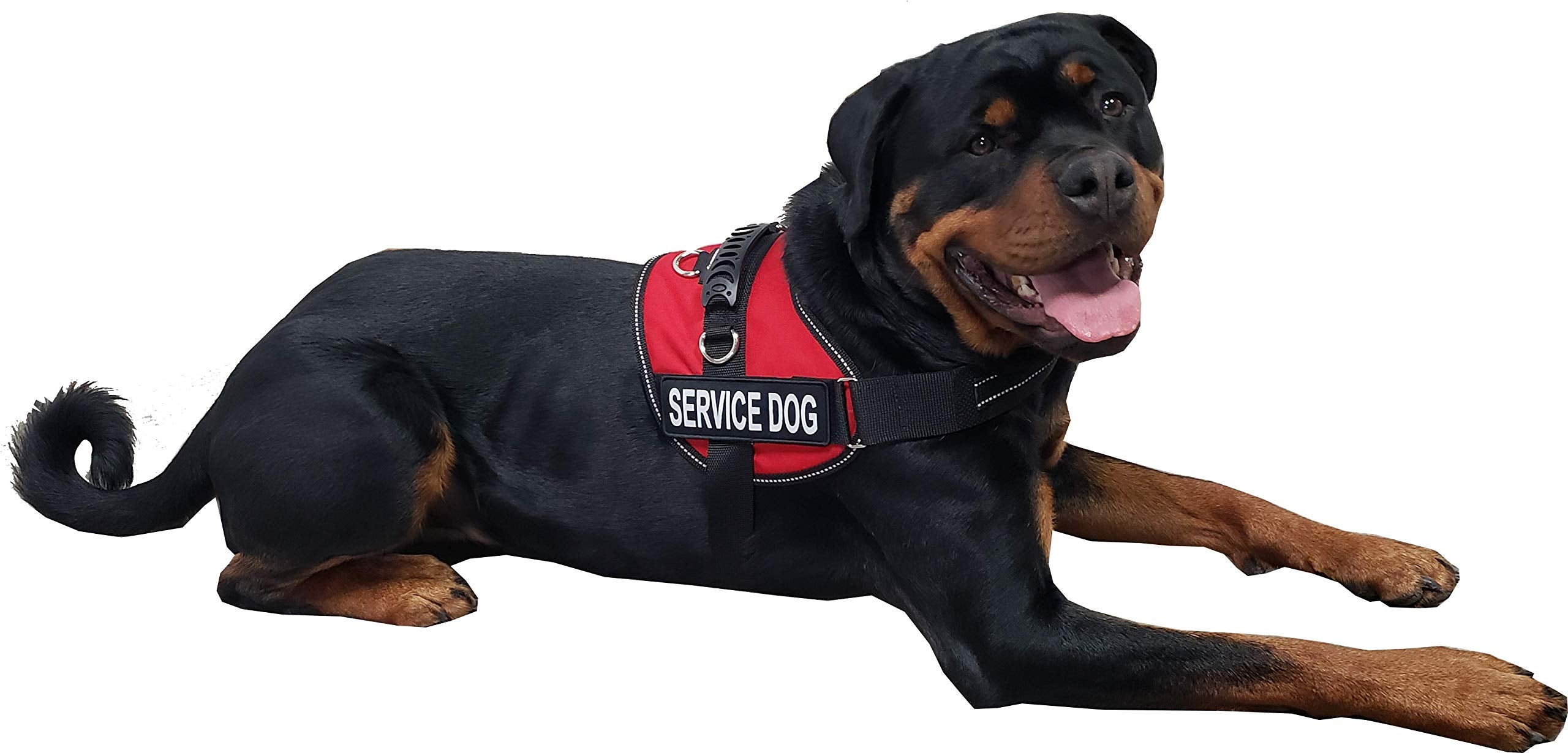Activedogs Air-Tech Service Dog Vest Harness, Small Girth 19'-24' W/Handle, Ada Cards + Reflective Service Dog Patches - Red