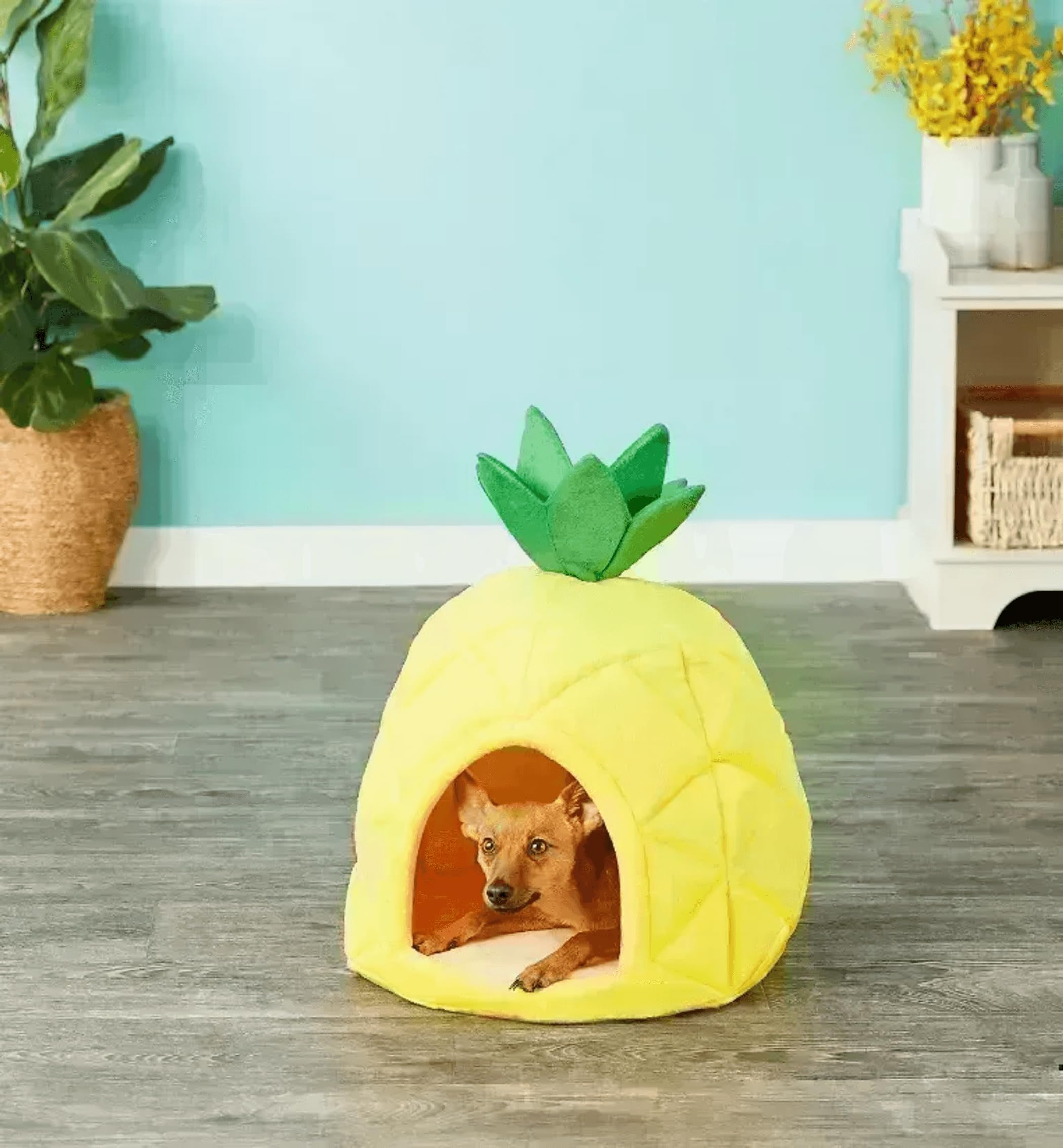Yml Pineapple Pet Bed House, Medium, Yellow