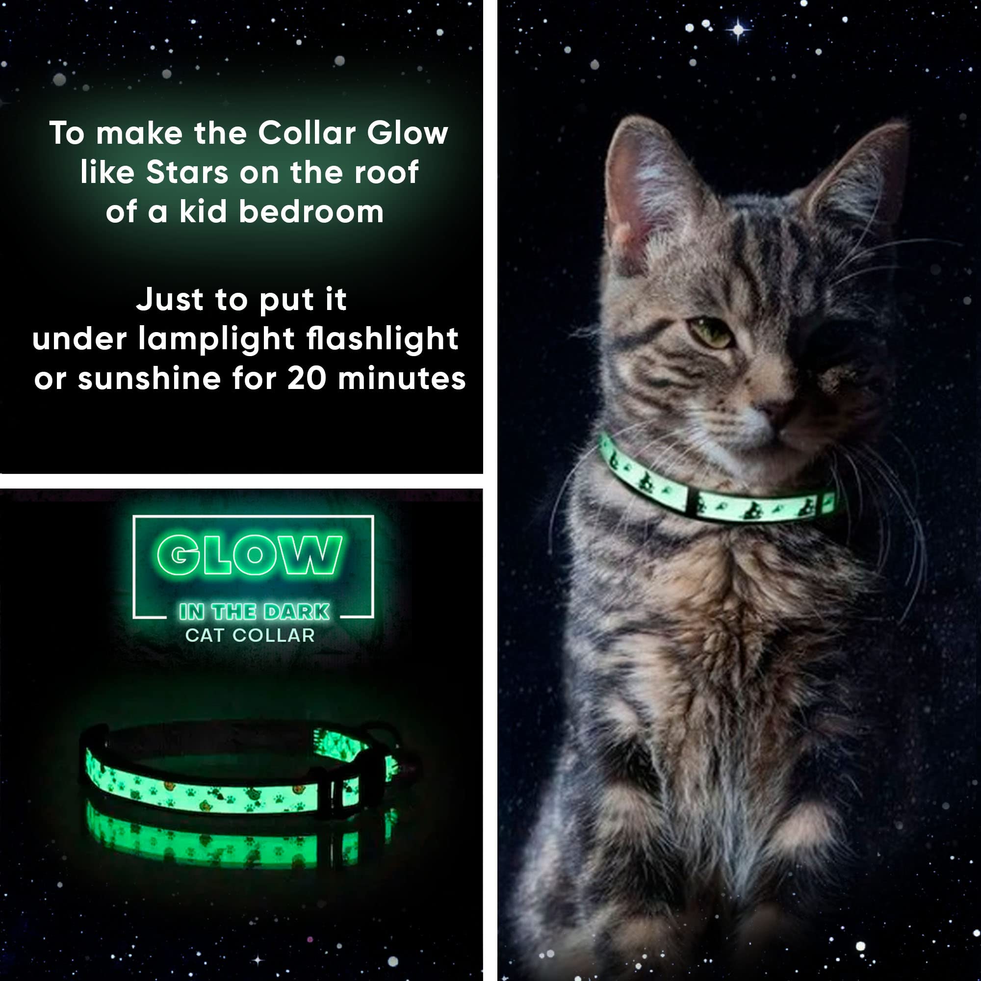 Pawtitas Glow In The Dark Cat Collar With Safety Buckle And Removable Bell Cat Collar Kitten Collar Green Cat Collar