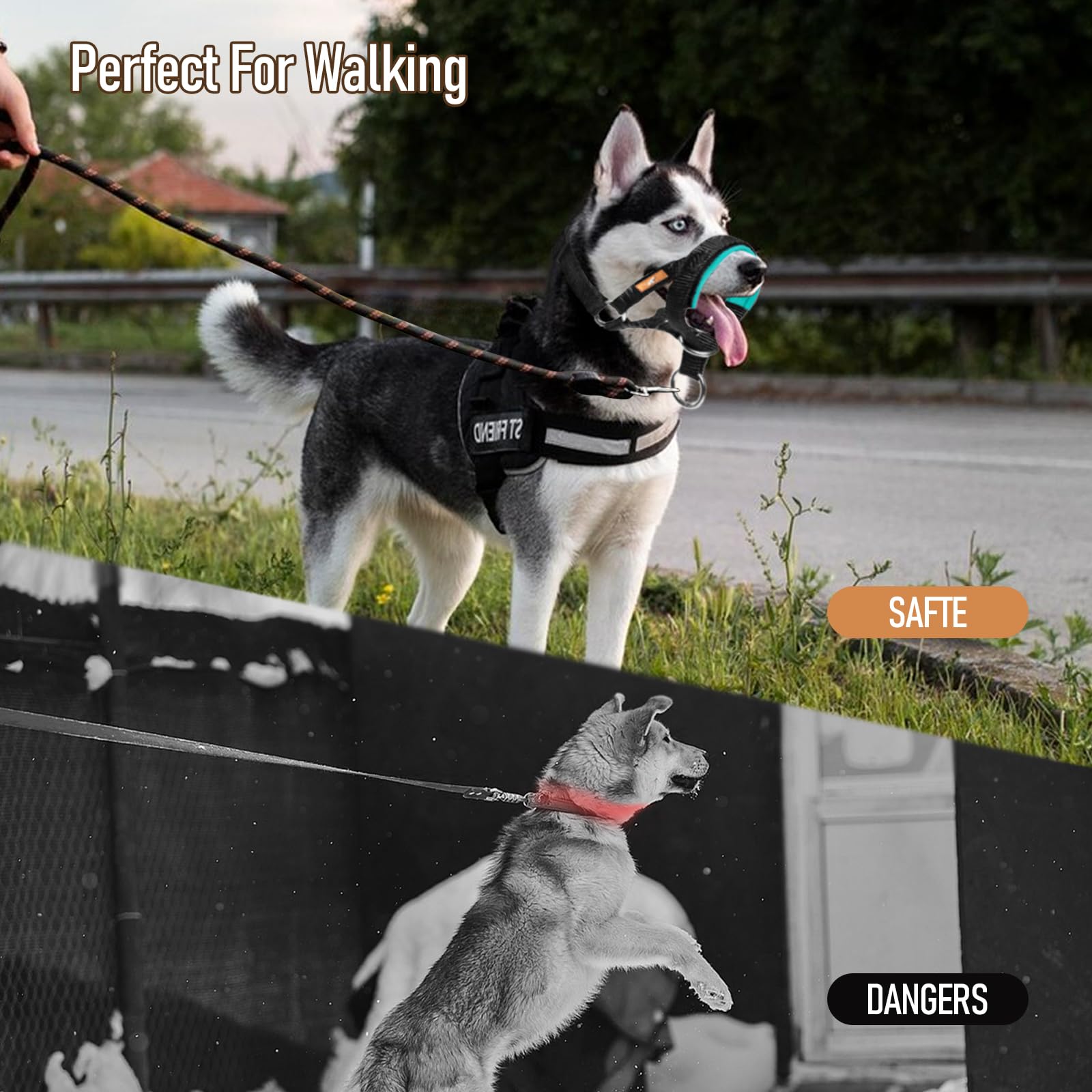 wintchuk Dog Head Collar with Soft Fabric, Head Harness Stops Dog Pulling, Head Leash for Small Medium Large Dogs Walking (M,Ora