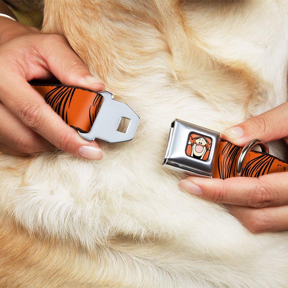 Dog Collar Seatbelt Buckle Tigger Stripes Orange Black 16 To 23 Inches 1.5 Inch Wide