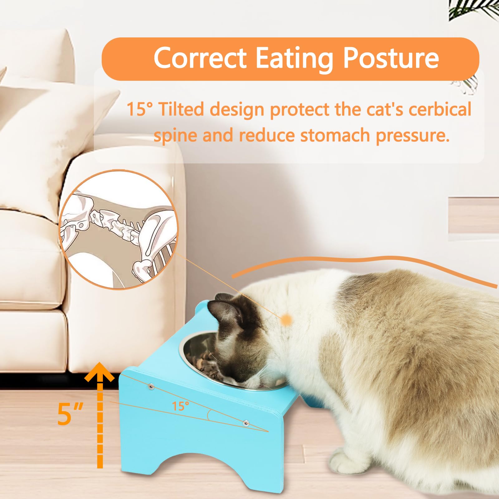Elevated Cat Bowls,2 Stainless Steel Pet Food Water Feeder,15Tilted Raised Pet Dish, Slanted Dog Bowl with Wood Stand for Kitty