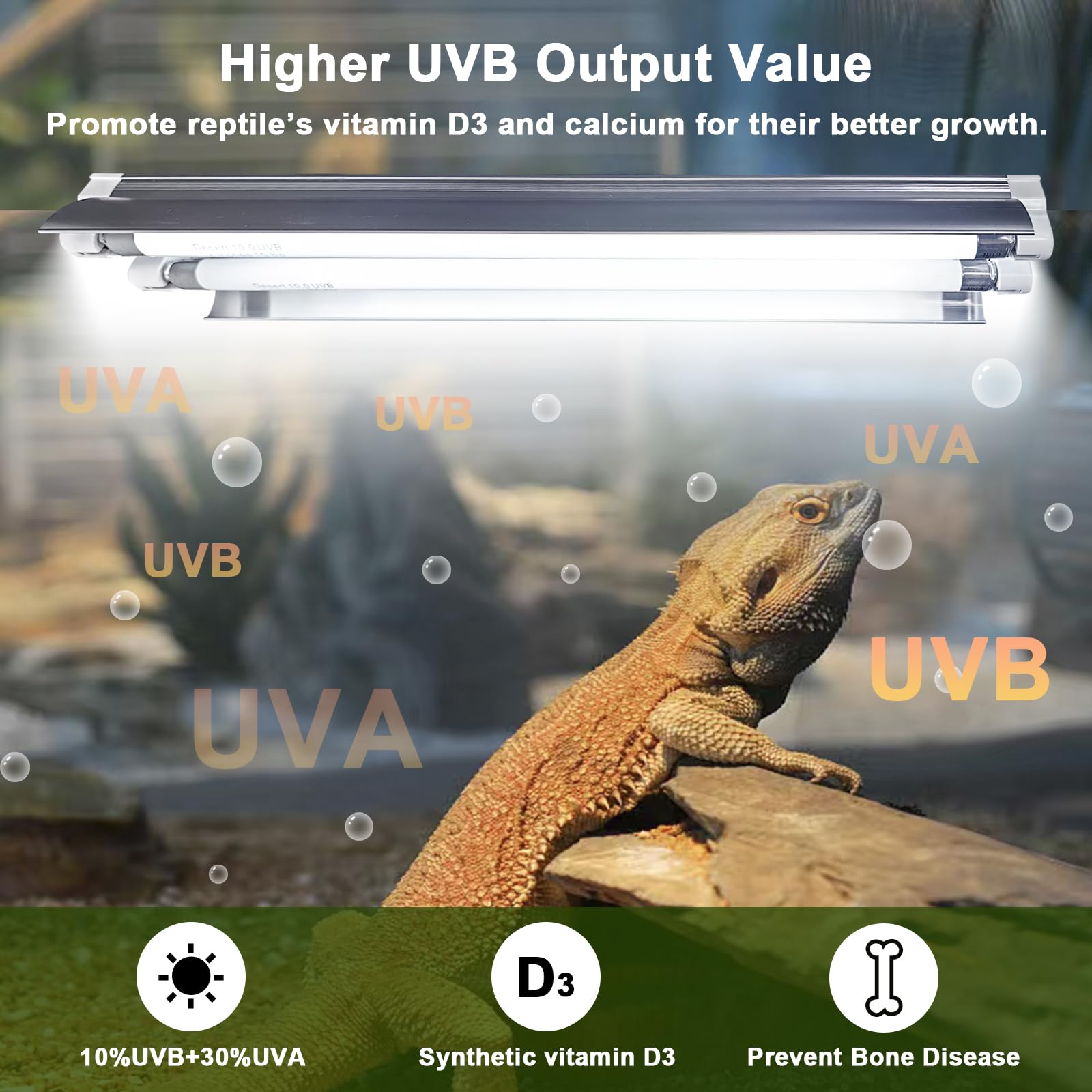 Celiwace T5 Reptile Light Fixture Combo Kit 16 Watts, 12 Inches T5 Uvb Reptile Light, T5 10.0 Uvb Reptile Light Fixture, Desert