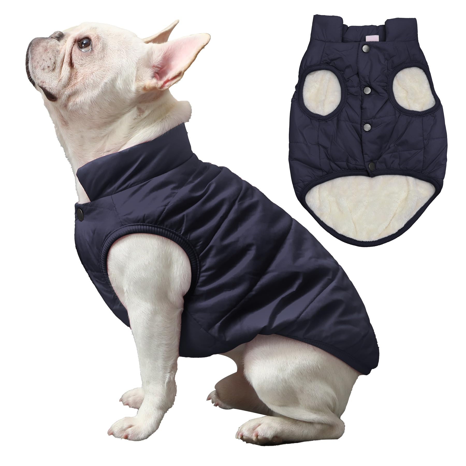 JoyDaog Warm Dog Jacket - Fleece Lined, Windproof, Medium Size, Blue, Model 4334715216