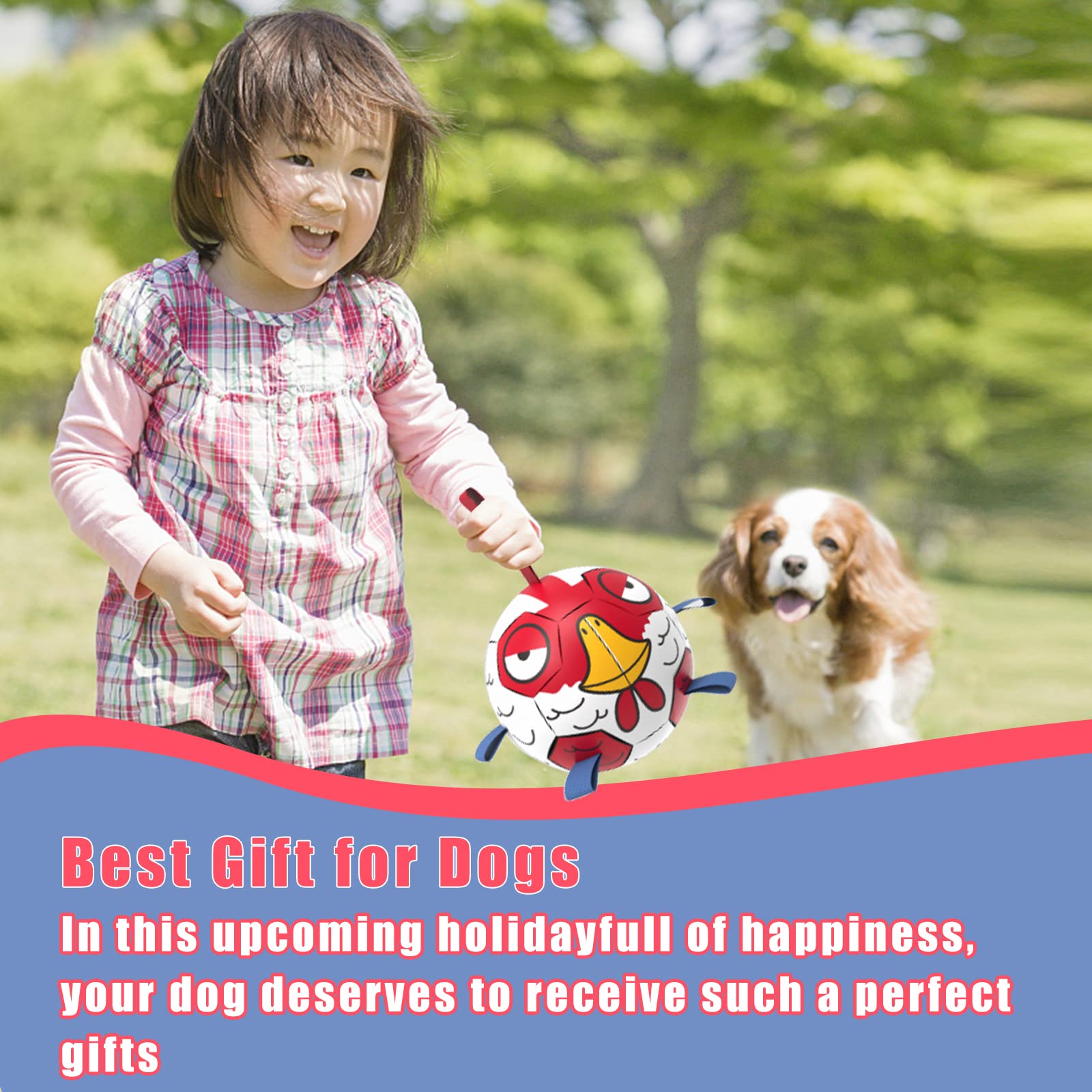 Qdan Chicken Dog Toys Soccer Ball With Straps, Interactive Toys For Tug Of War, Puppy Birthday Gifts, Dog Water Toy, Durable Bal