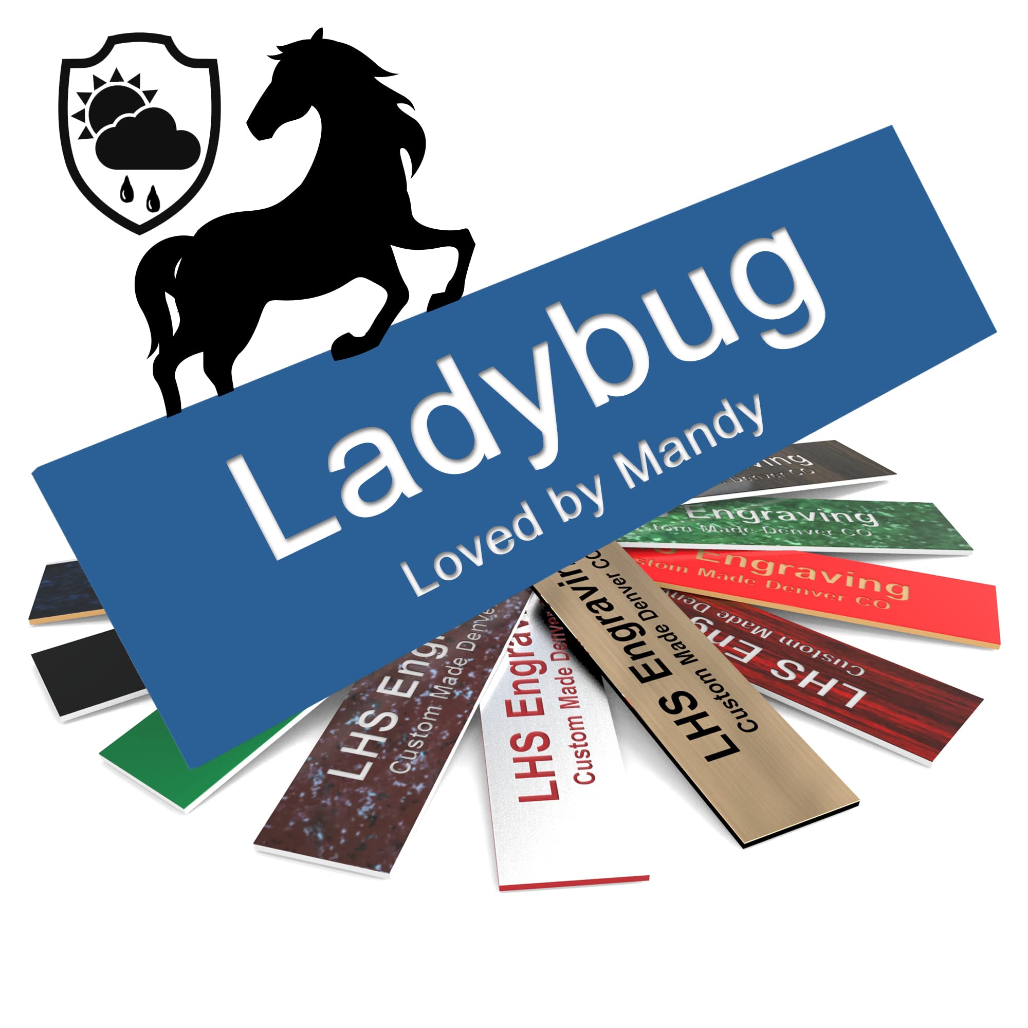 Lhs | Personalized Horse Stall Name Plates, 2X6 Horse Stall Signs With Adhesive, All Weather Uv Protected, Blue Plastic With Whi