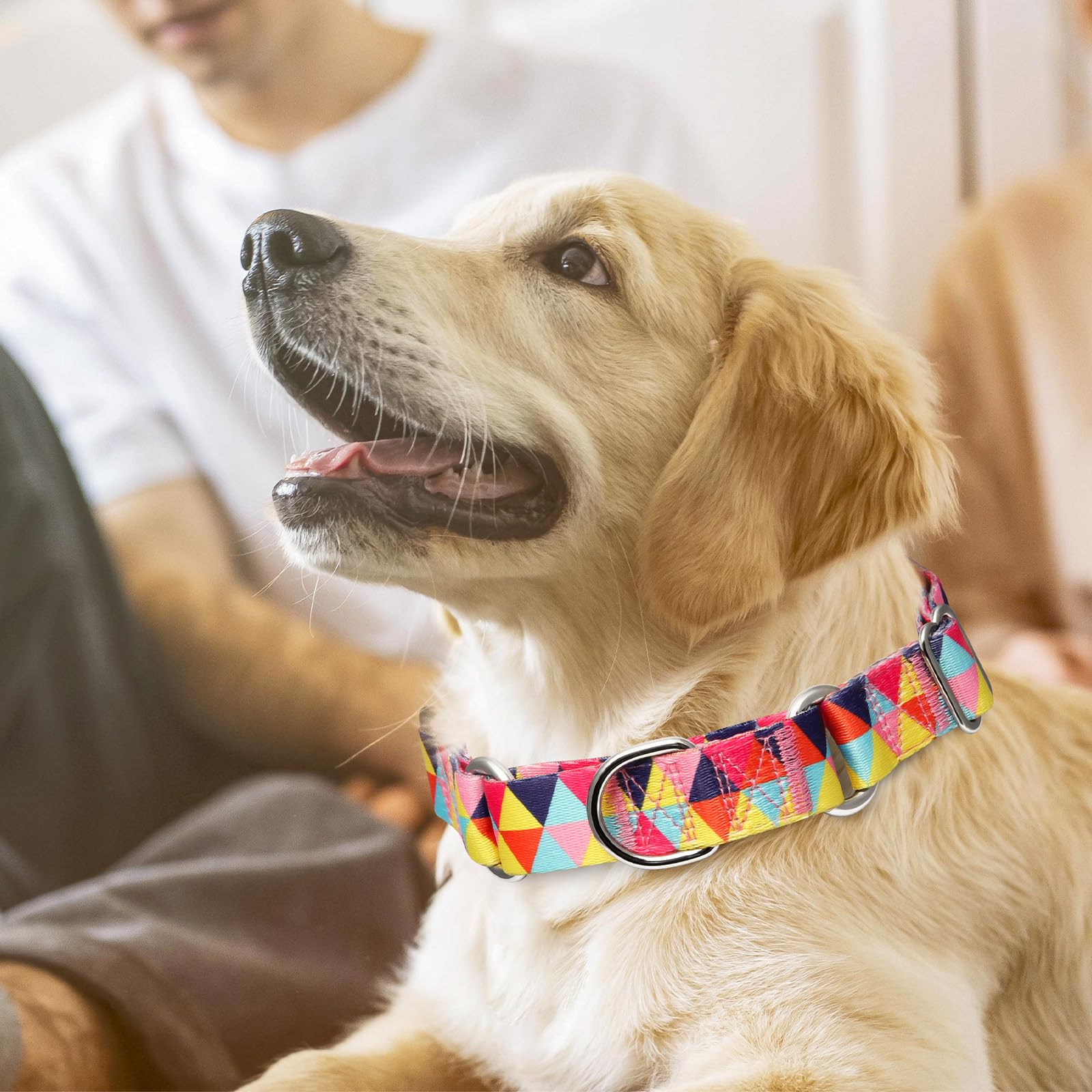 Martingale Collar For Dogs, Colorful Triangle Design Dog Collar For Small Medium Large Dogs, Adjustable Heavy Duty Dog Collars F