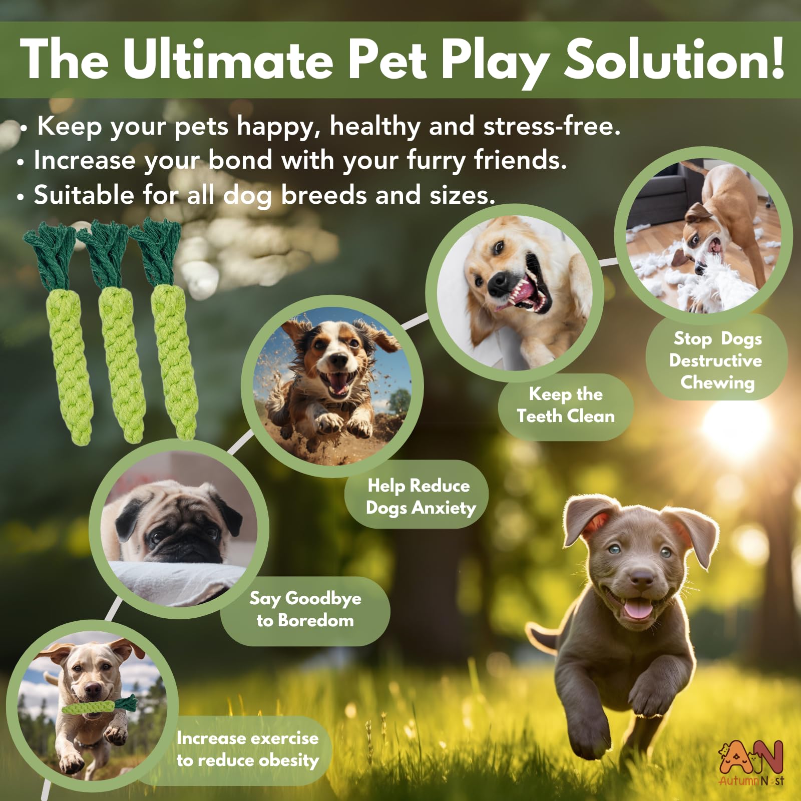 Autumnnest 3Pcs Green Woven Pet Chew Set, Dog Chew Accessories, Cat Interactive Chews, Safe & Durable Braided Chews For Dogs, Ca