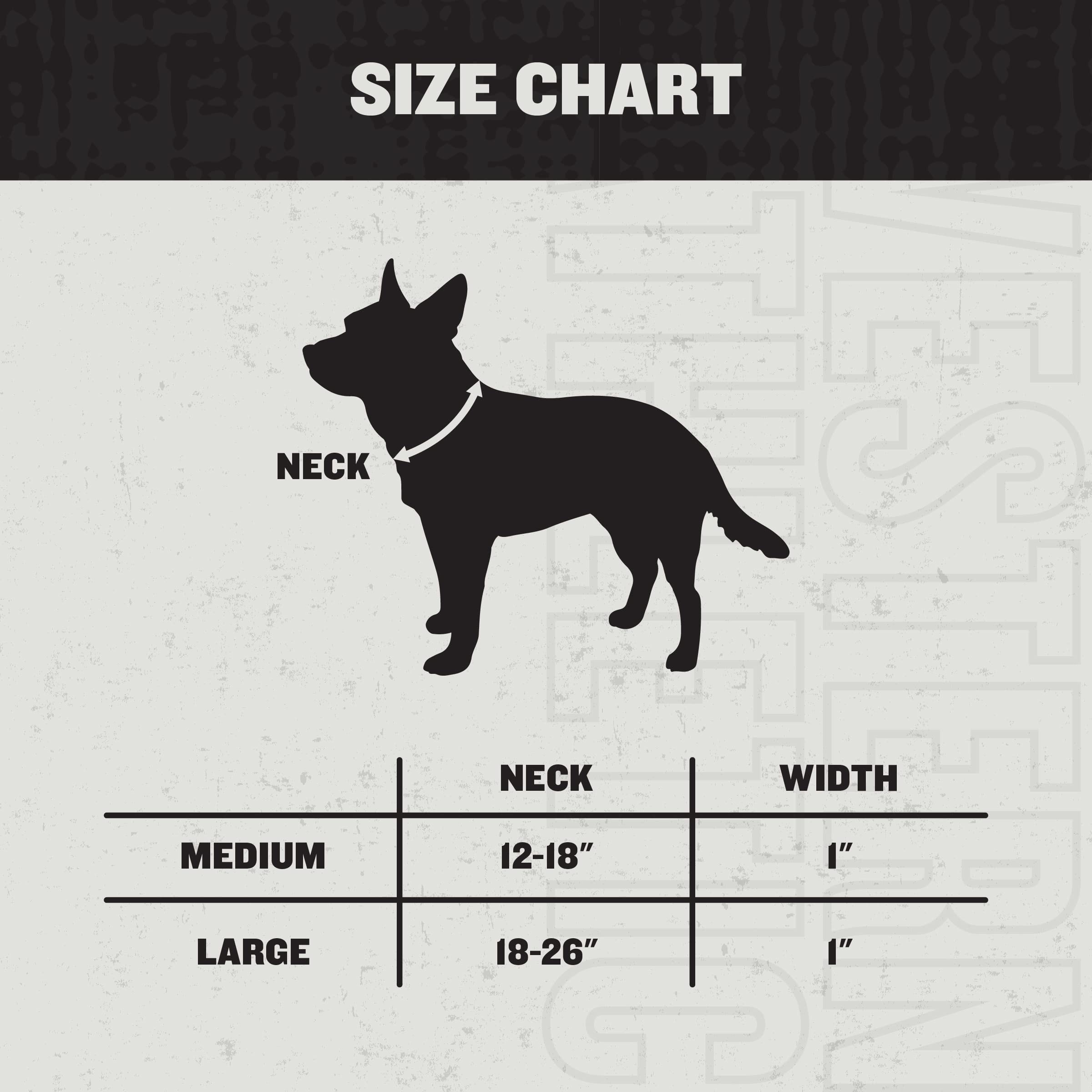 Hooey Nomad Dog Collar, Durable Polyester Webbing Collar With Graphic-Inspired Prints, Beluga Monterey, Medium