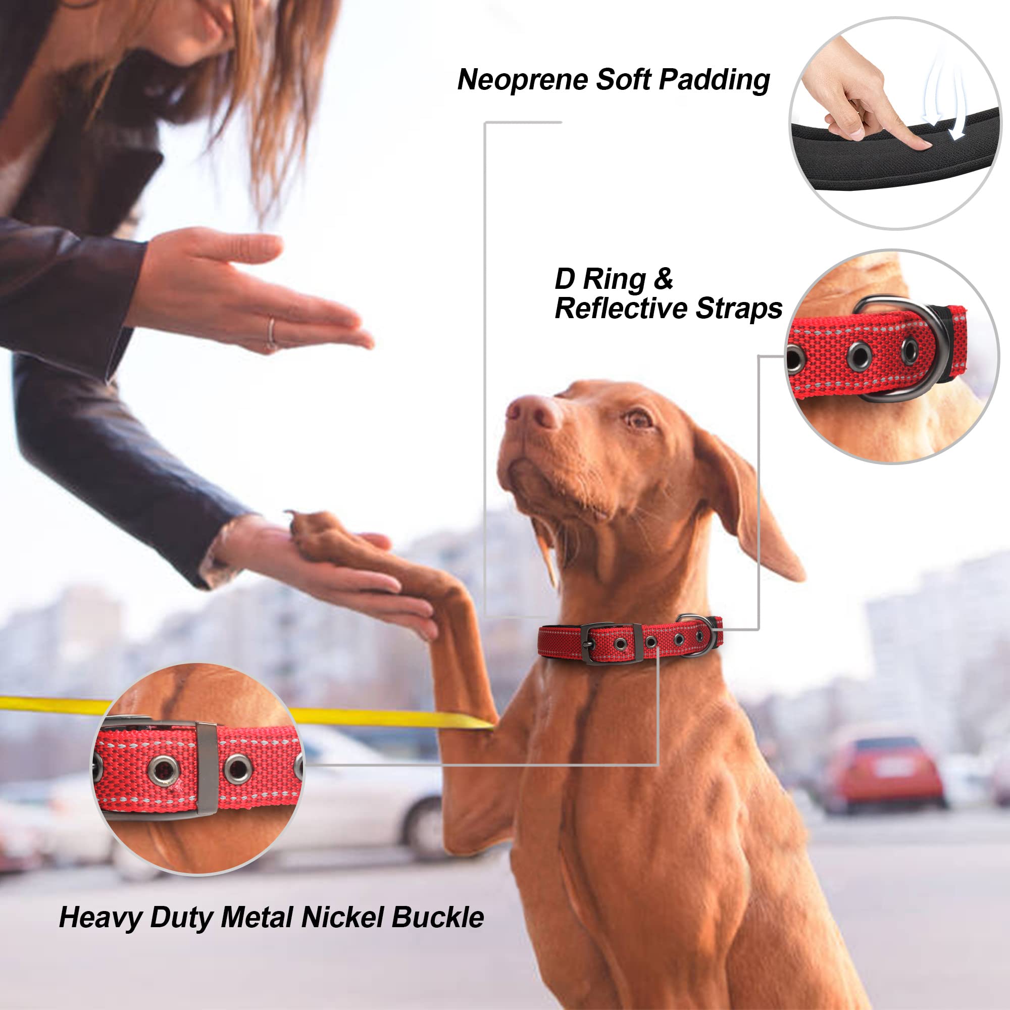 PetiFine Heavy Duty Dog Collar, Adjustable Neoprene, Reflective, X-Large (24"-28"), Red