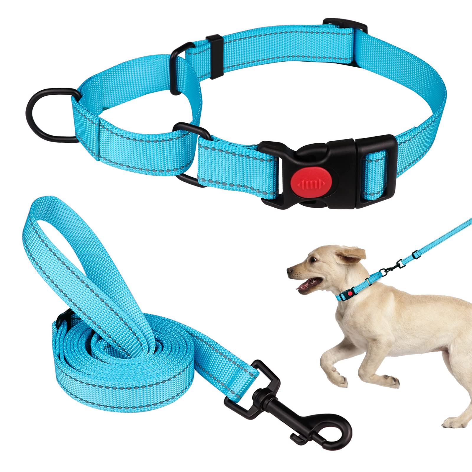 Martingale Dog Collar And Leash Set Martingale Collars For Dogs Reflective Martingale Collar For Small Medium Large Dogs(Sky Blu