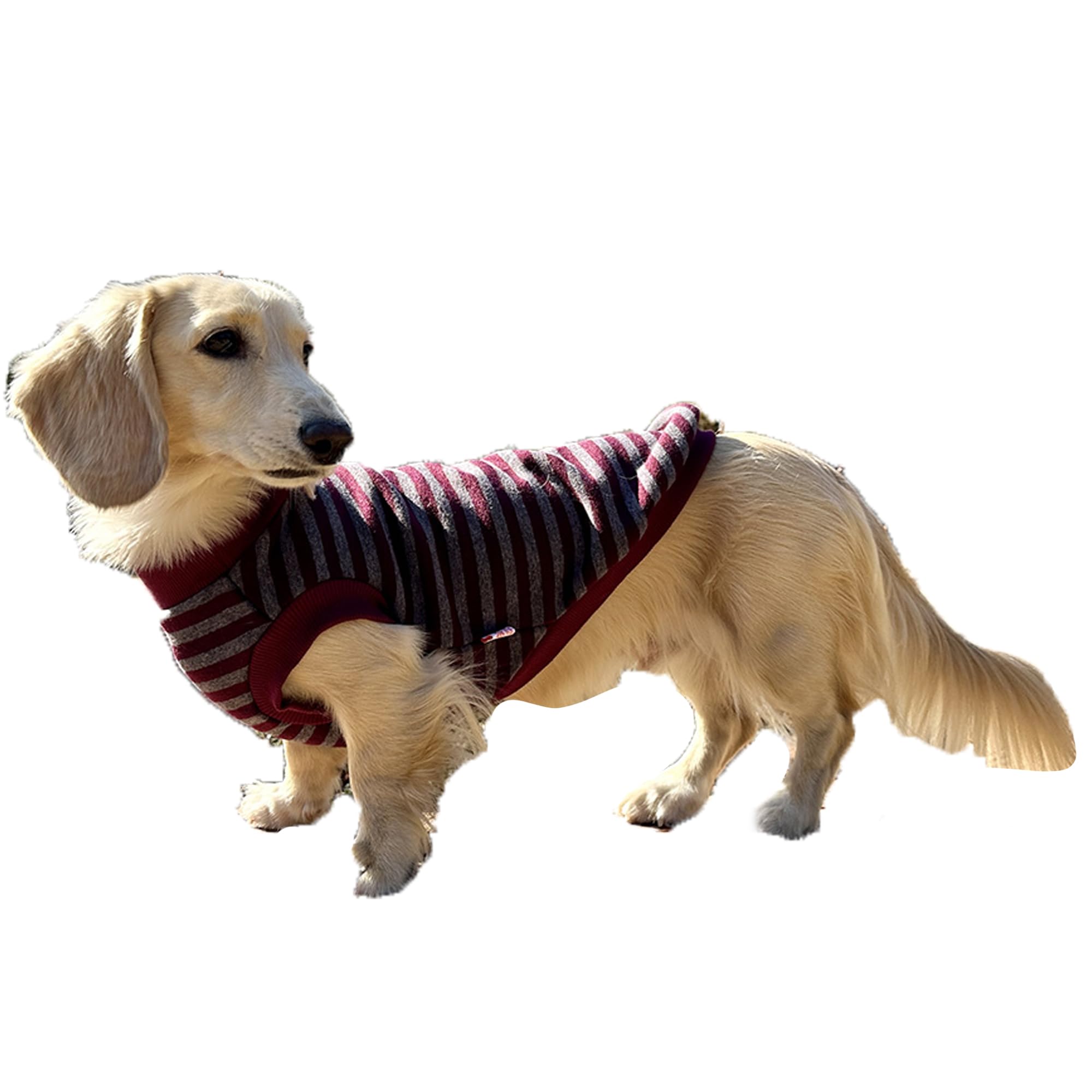 D Doggy Star Dachshund Sweater For Dogs Lining Napping Stripe T Shirts (Xl,Burgundy/Grey)