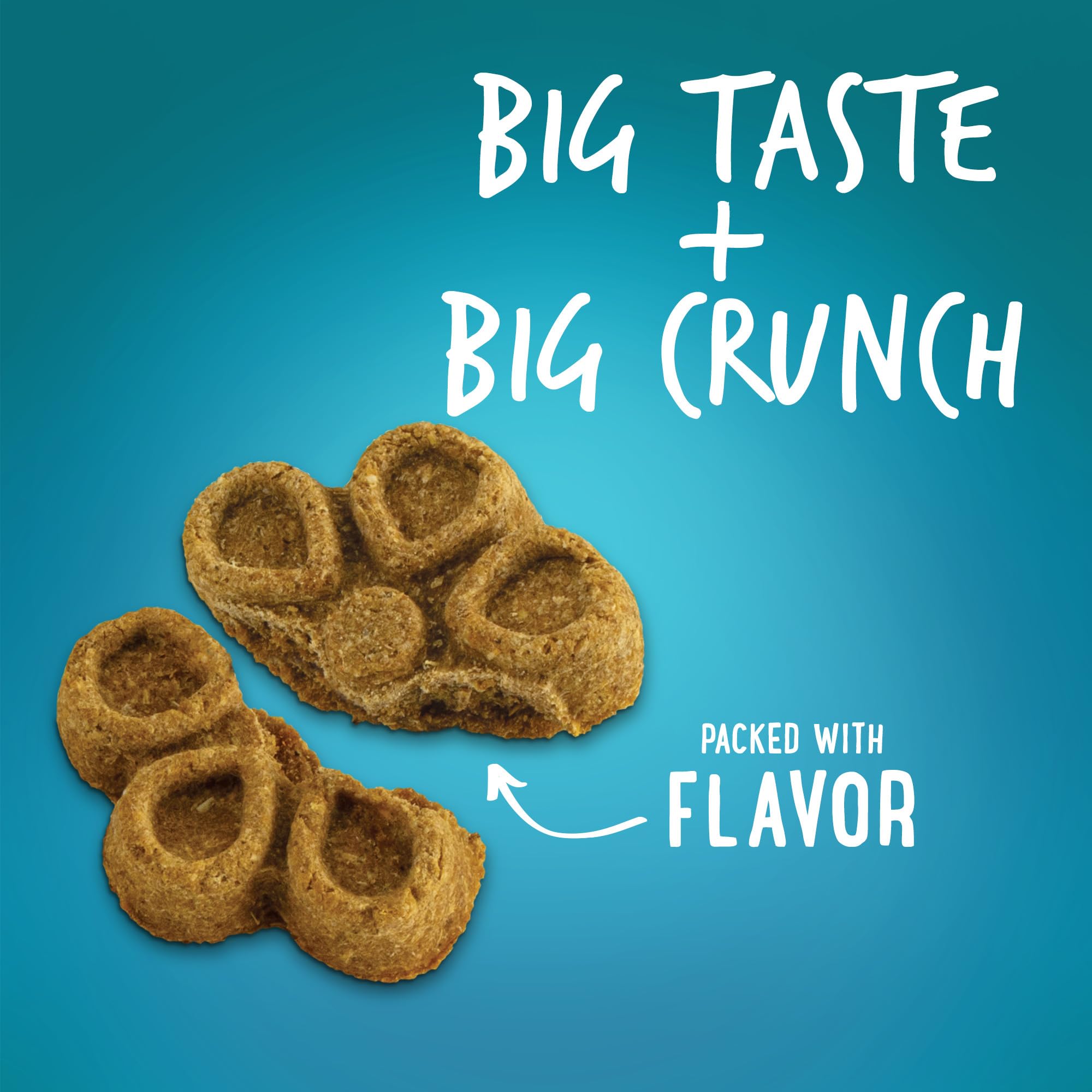 Fruitables Biggies Dog Biscuits - Crunchy Dog Biscuits Made with Pumpkin - Healthy Dog Treats Packed with Real Fruit Flavor - Fr