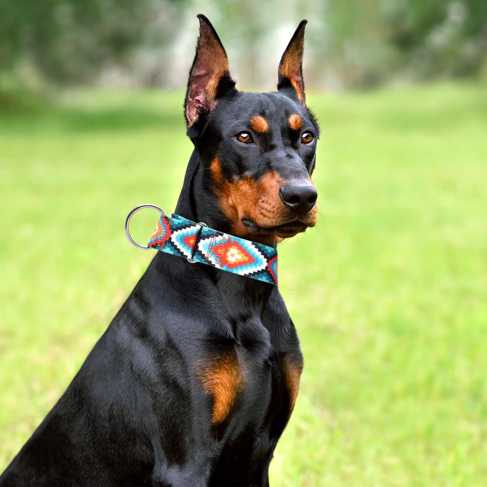 Martingale Collar For Dogs - Dog Training - Big, Wide & Thick Dog Collar - Escape-Proof,Durable And Comfortable- Tribal Medium D