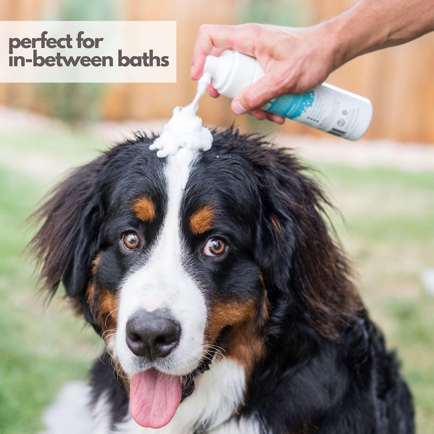 Mighty Mutt Hypoallergenic Waterless Shampoo for Dogs | Dry Shampoo for Dogs | Waterless Foam No Rinse | Anti-Itch, Soothing and