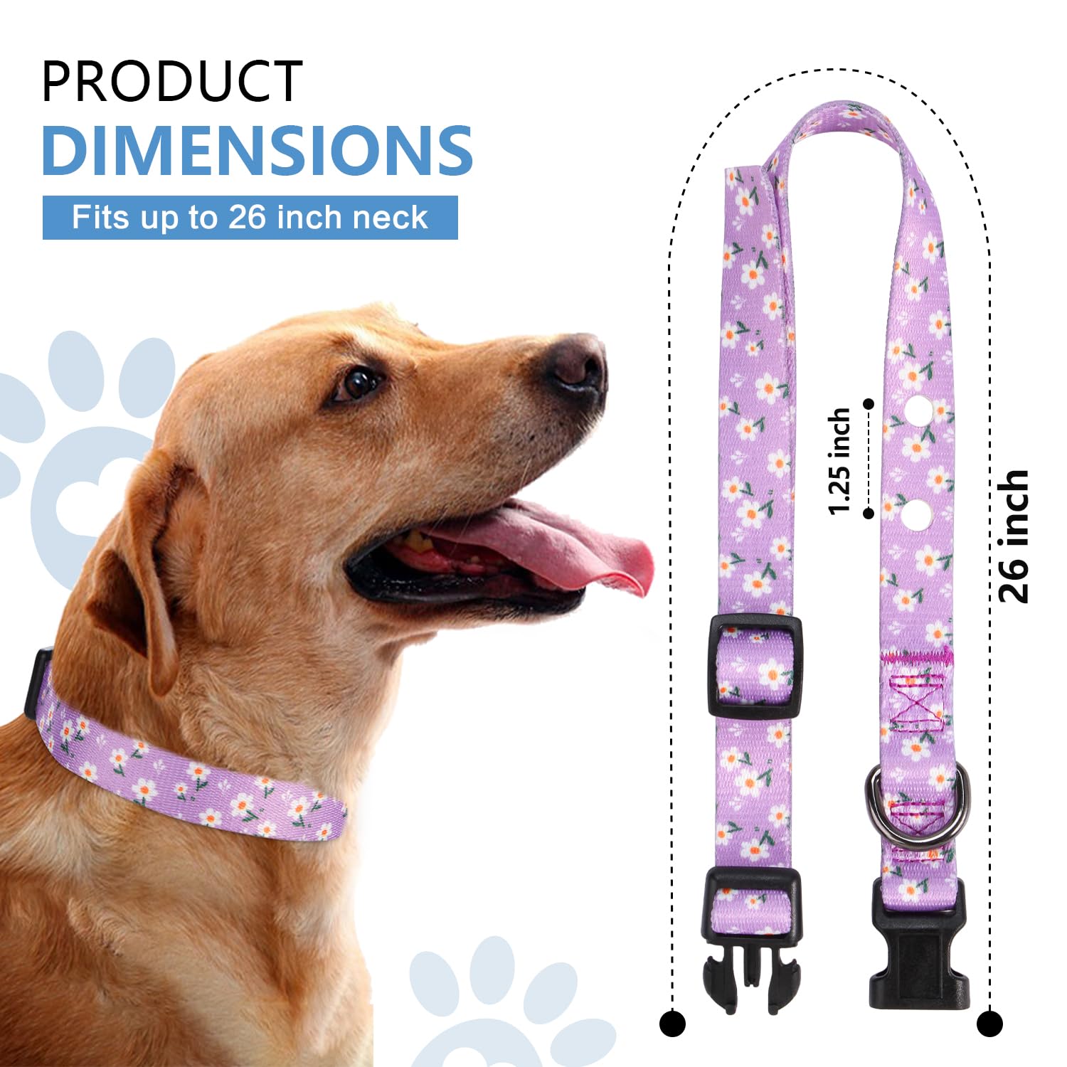 Rhea Rose 3/4 Inch Replacement Collar Strap Shock Collar with 2 Holes, Compatible with Nearly All Brands and Models of Undergrou