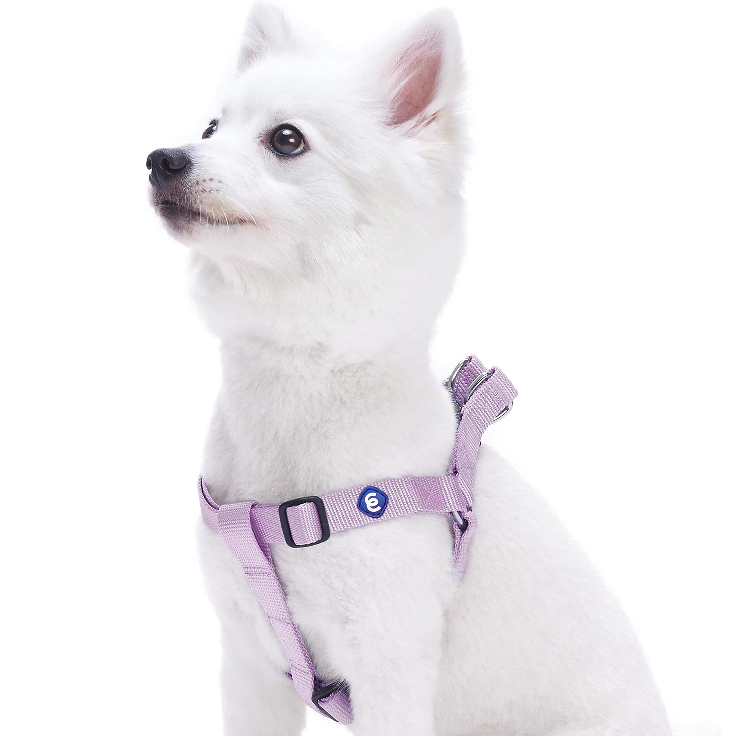 Blueberry Pet Essentials Classic Durable Solid Nylon Step-In Dog Harness, Chest Girth 26' - 39', Lavender, Large, Adjustable Harnesses For Puppy Boy Girl Dogs