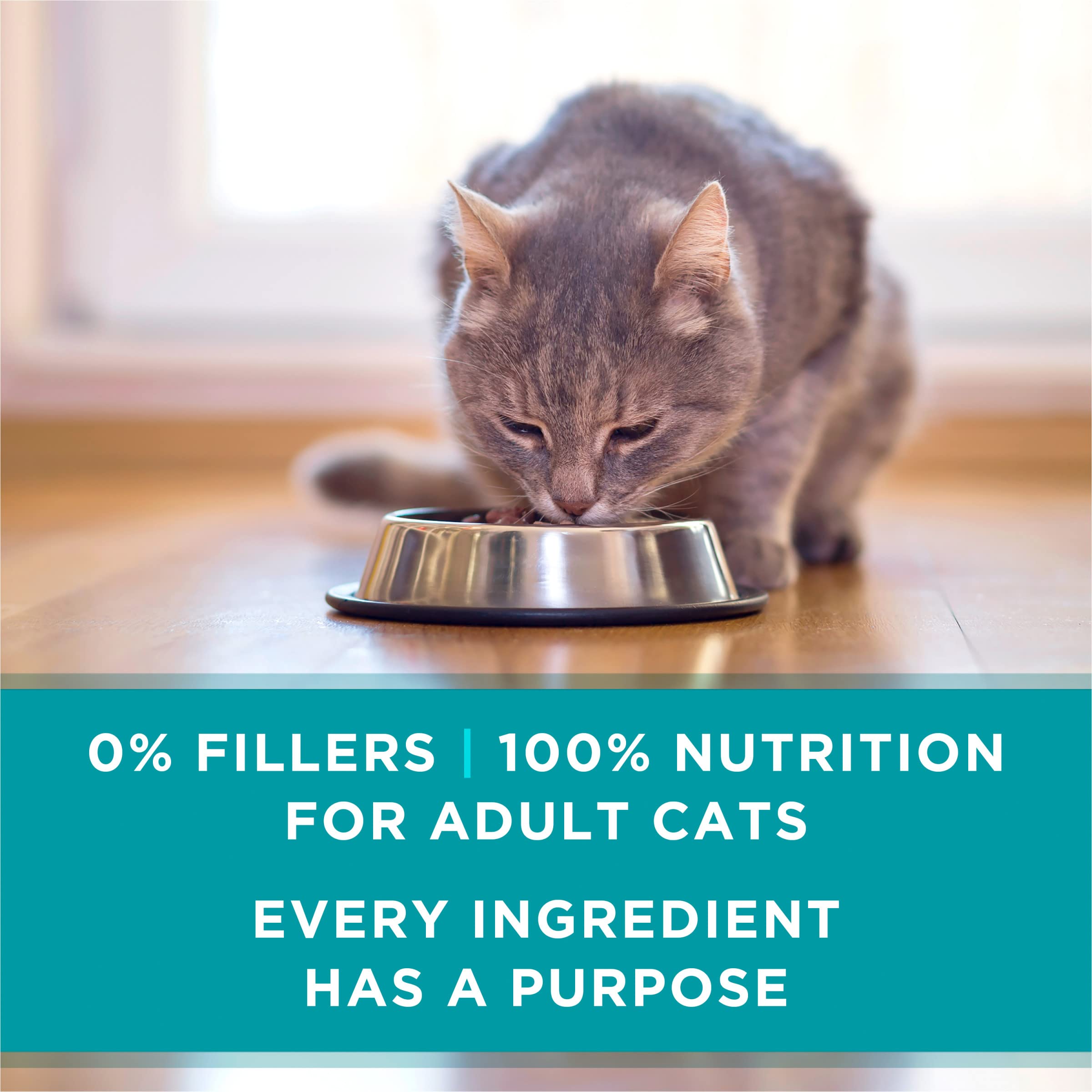 Purina ONE Natural Weight Control Wet Cat Food, Ideal Weight White Meat Chicken Recipe in Sauce - (Pack of 24) 3 oz. Pull-Top Ca