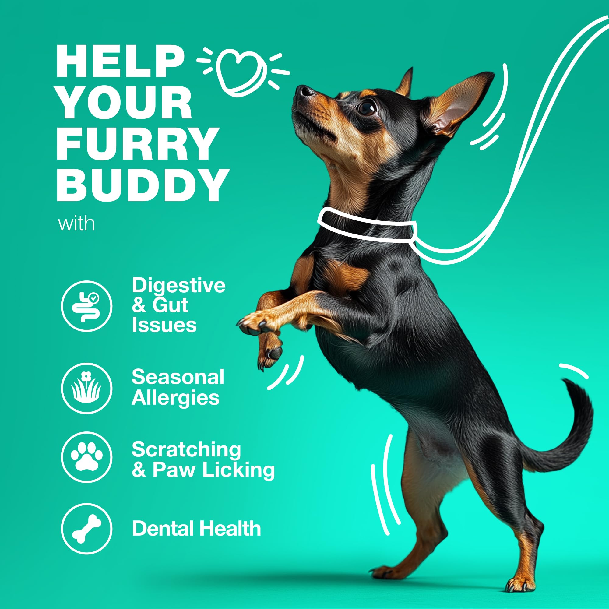 Probiotics for Dogs Gut Health, Digestion, Immunity, Yeast Balance, Itchy Skin, Allergies Support - Dog Probiotic Chews with Dig