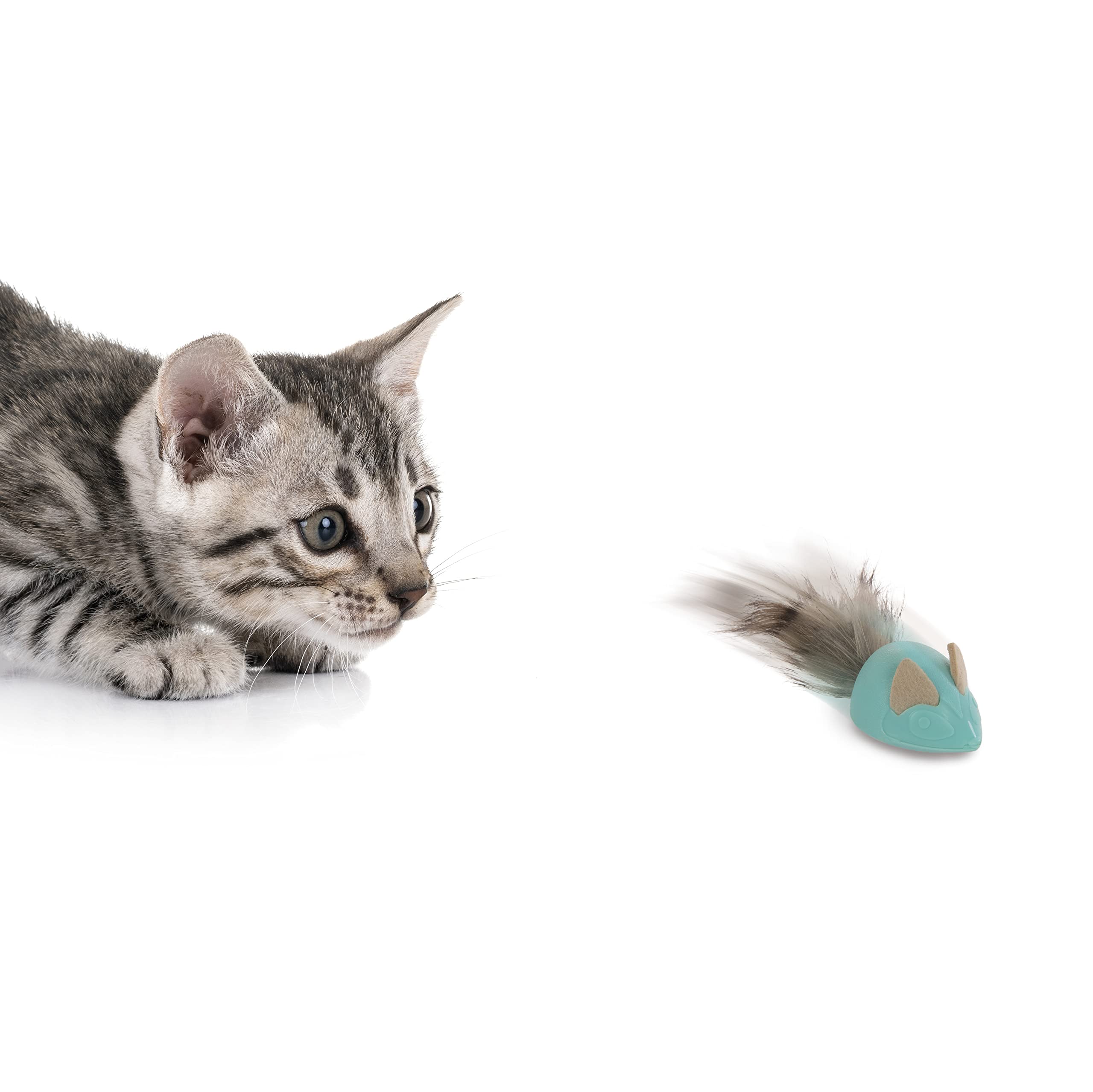 Petlinks Marble Mayhem Rolling Marble Racoon Toy for Cats & Kittens, for Solo & Interactive Play, Encourages Exercise - Teal, On