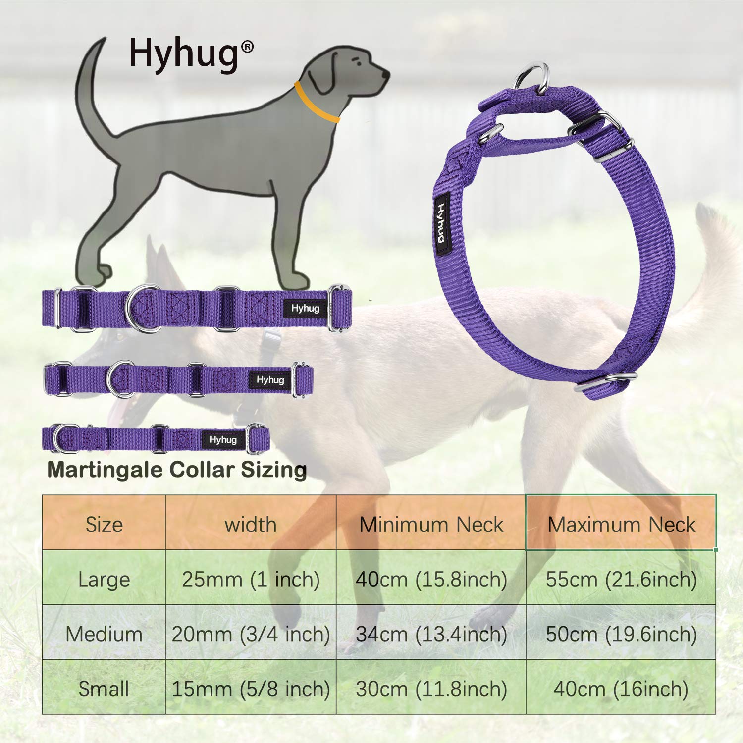 Hyhug Pets Premium Upgraded Heavy Duty Nylon Anti-Escape Martingale Collar For Boy And Girl Dogs Comfy And Safe - Professional Training, Daily Use Walking. (Medium, Ultra Violet)