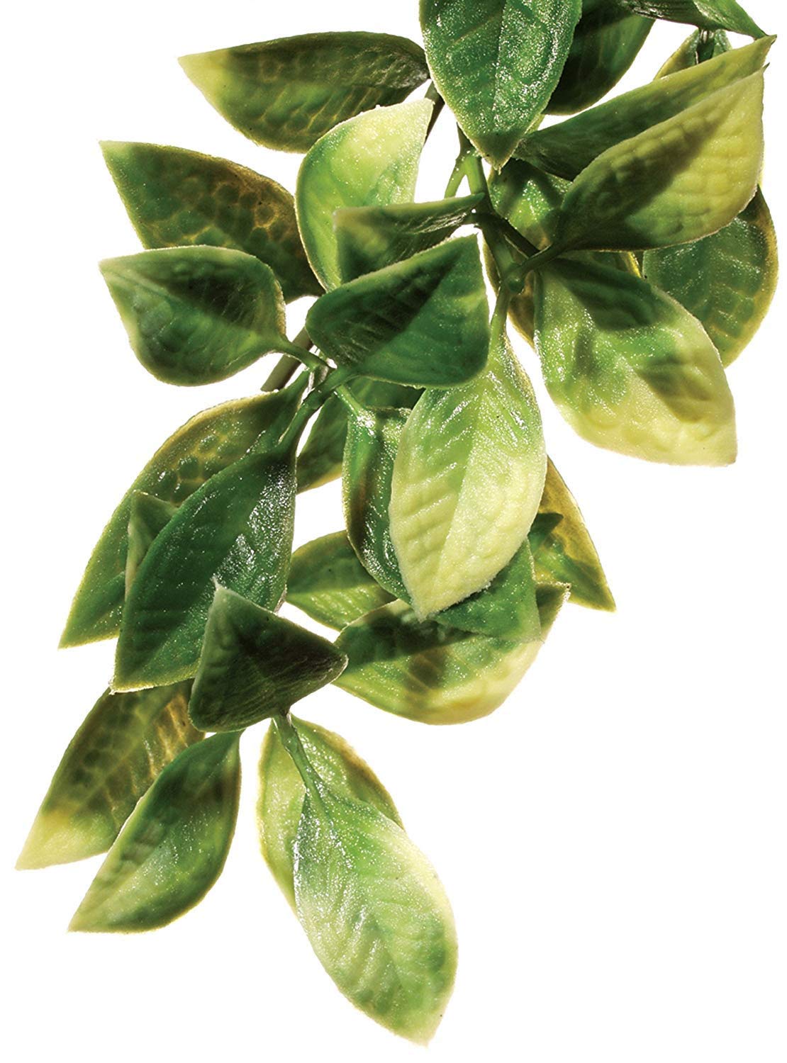 Exo Terra Plastic Terrarium Plant, Large, Mandarin