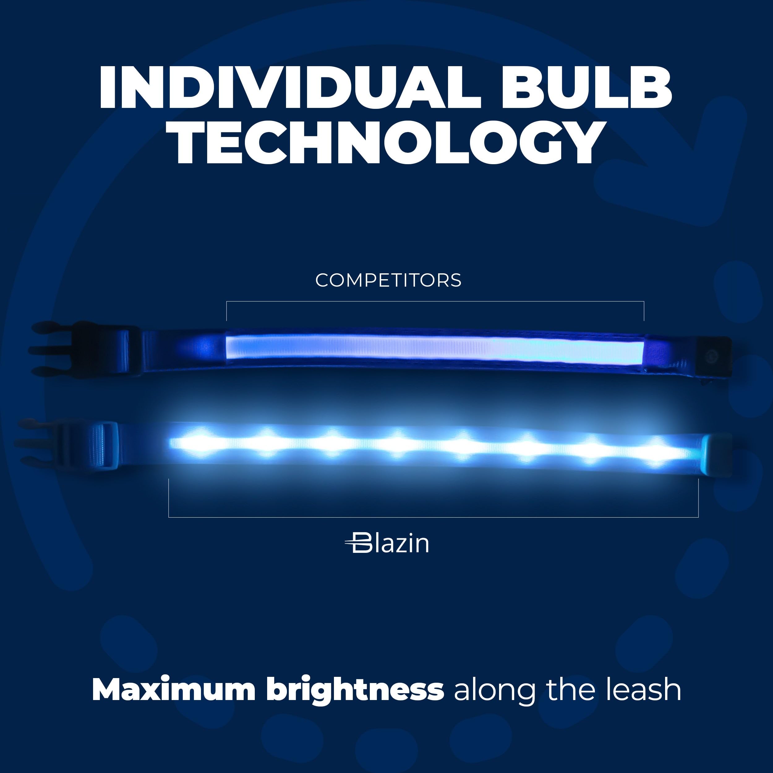 Blazin' Safety Led Dog Leash - Usb Rechargeable Flashing Light, 6 Ft, Water Resistant  Avoid Danger  Purple