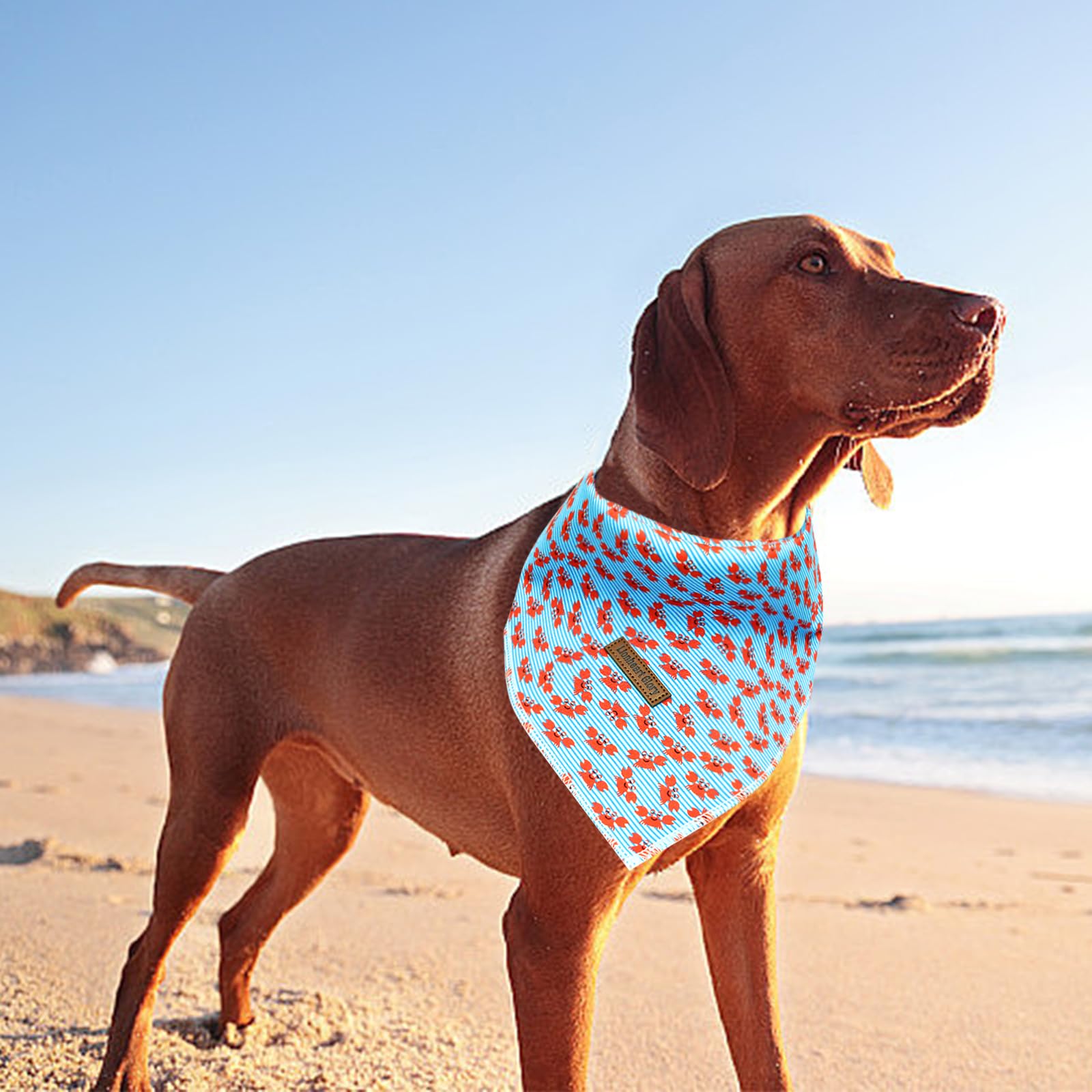 Lionheart Glory Blue Stripe Dog Bandana 1 Pack Washable Soft Dog Scarf, Square Adjustable Dog Bandanas For Medium Large Dogs, N:
