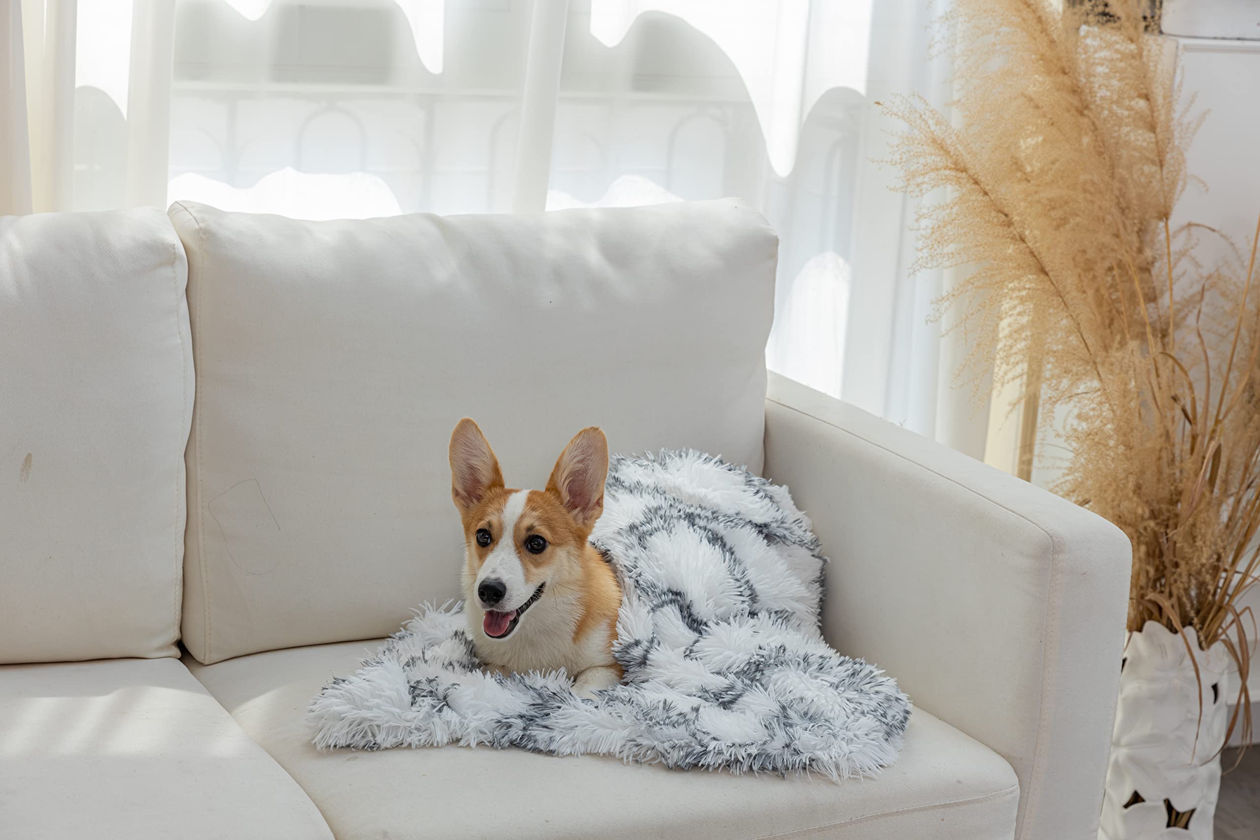 Pjyucien Fluffy Fleece Calming Pet Throw Blanket, Super Soft And Warm For Indoor Cats And Dogs, Small 16 * 24', Machine Washable, Grey Diamond Pattern, White Puppy Blanket