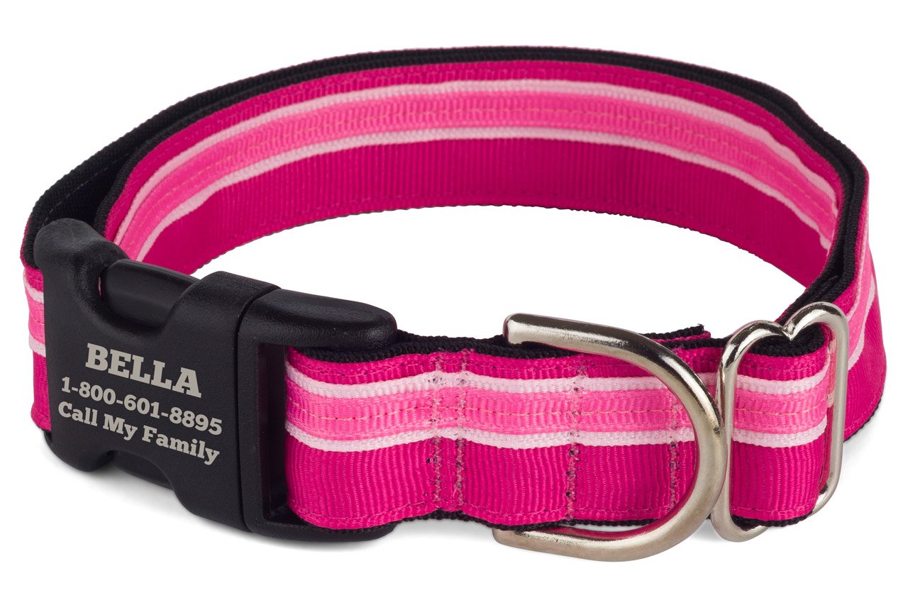 If It Barks Personalized 1 Striped Dog Collar - Engraved Name - Custom Size, Bubble Gum