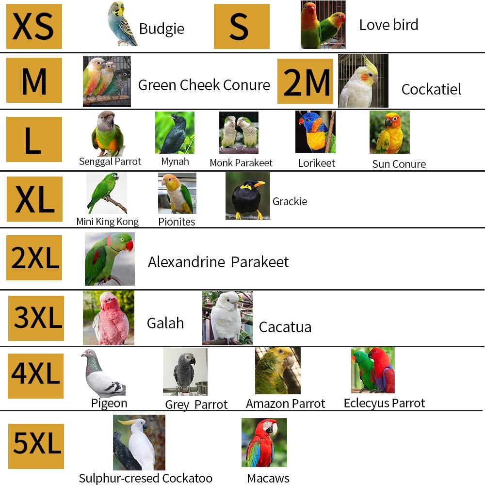 Bird Flight Harness Vest, Parrot Flight Suit With Leash For Parakeets Cockatiels Conures Budgies, Bird Flying Clothes With Rope And Handle For Outdoor Activities Training, Anti Bite (L, Yellow)