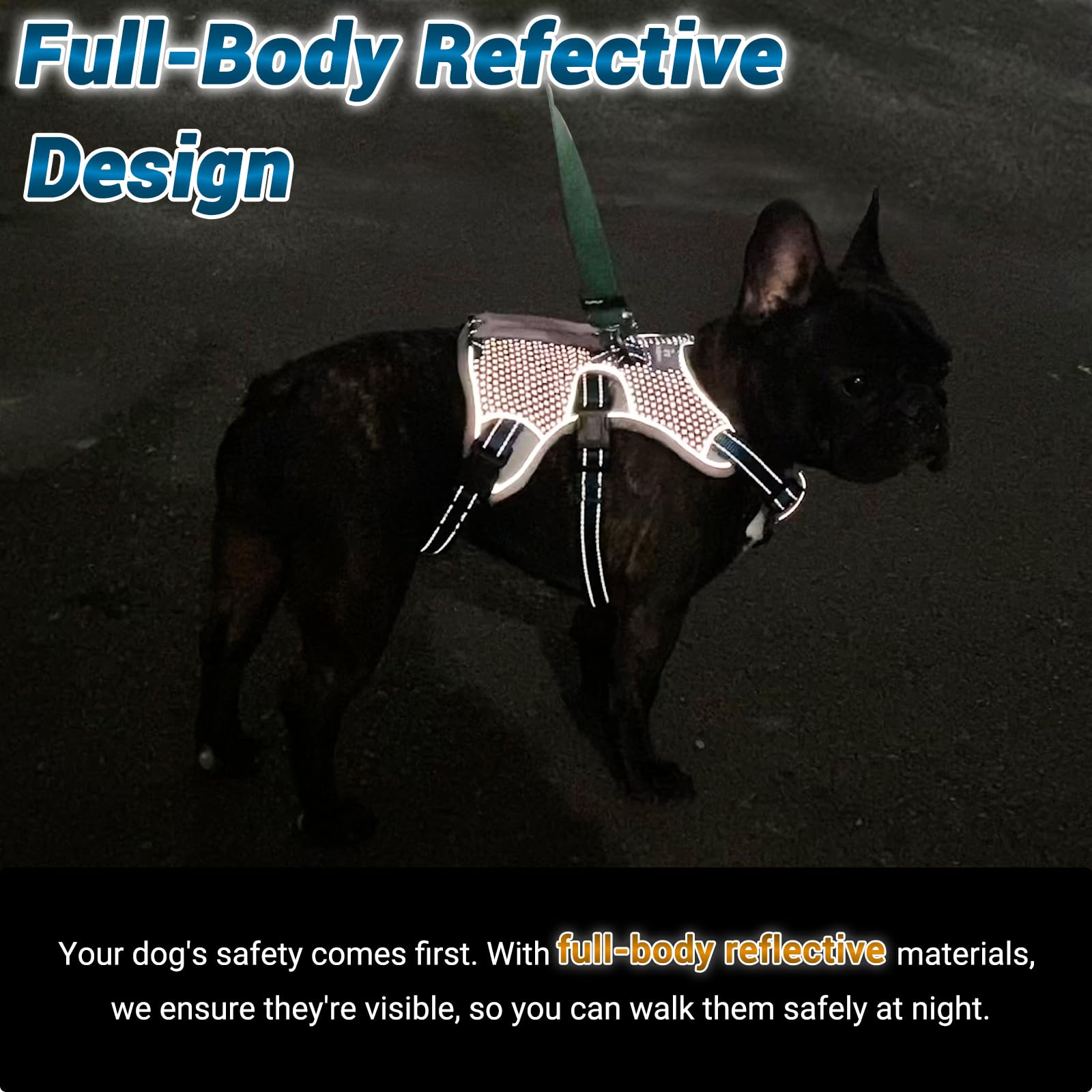 Belpro Multi-Use Support Dog Harness, Escape Proof No Pull Reflective Adjustable Vest With Durable Handle, Dog Walking Harness For Big/Active Dogs (Blue, S)