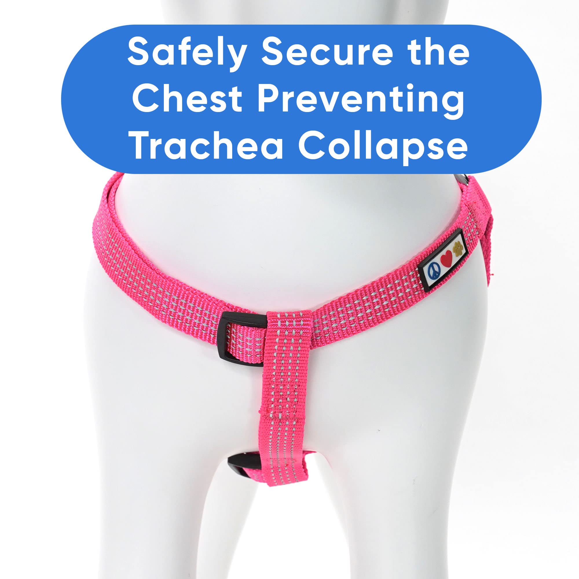 Pawtitas Dog Harness Medium Sized Dog Pink Dog Harness Step in from a Senior Dog to a Puppy Harness Adjustable Reflective Dog Ha