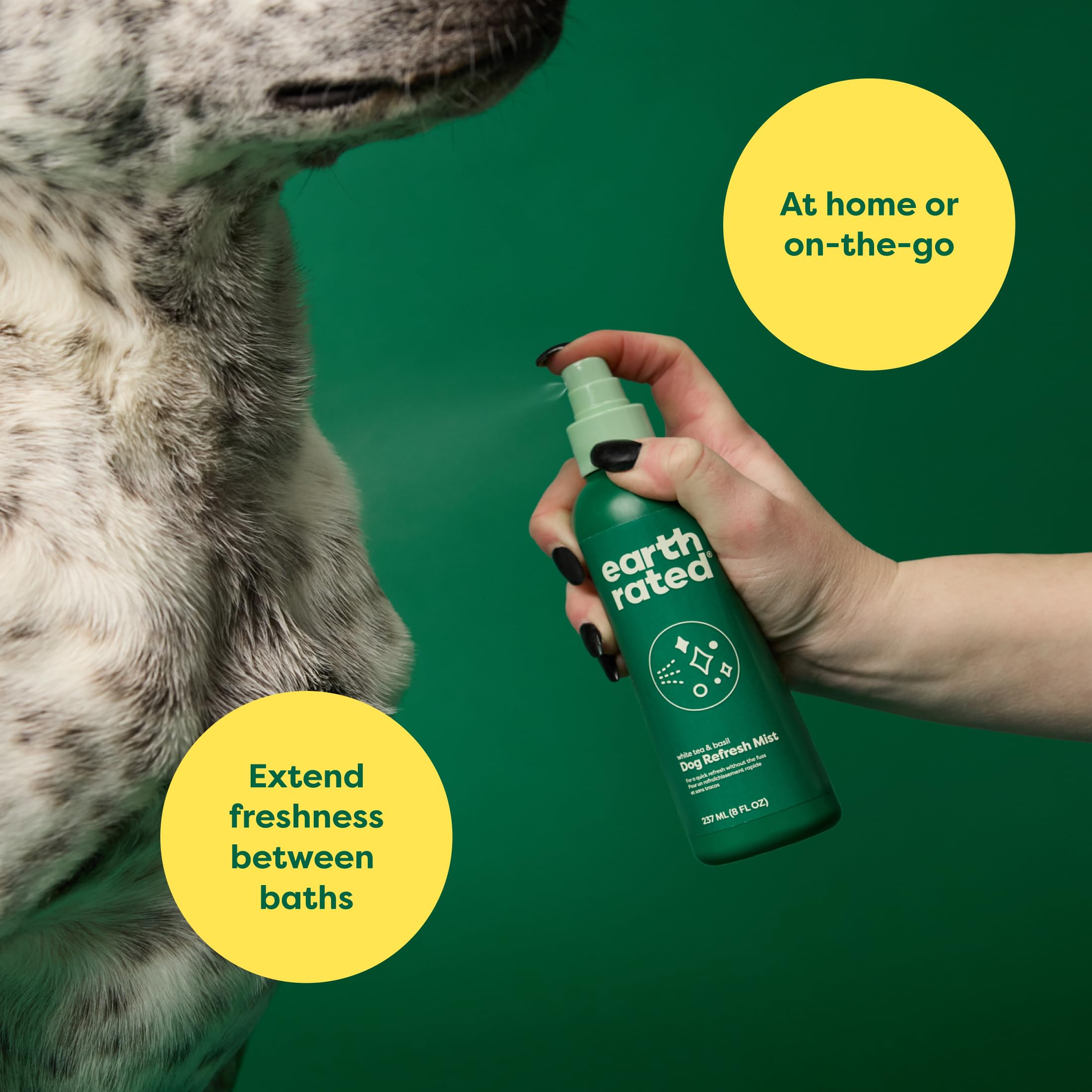 Earth Rated Dog Deodorizing Conditioner Spray, 8 oz, Refreshing White Tea & Basil Scent, Green, For All Coat Types